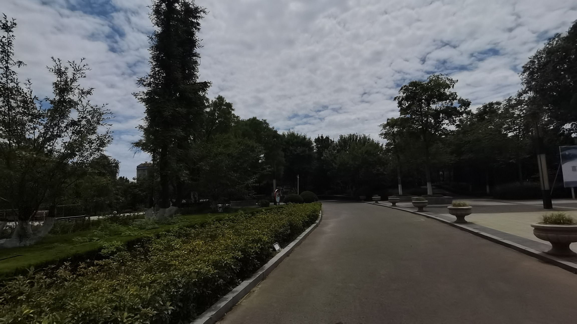 柳泉湿地公园旅行图片 3