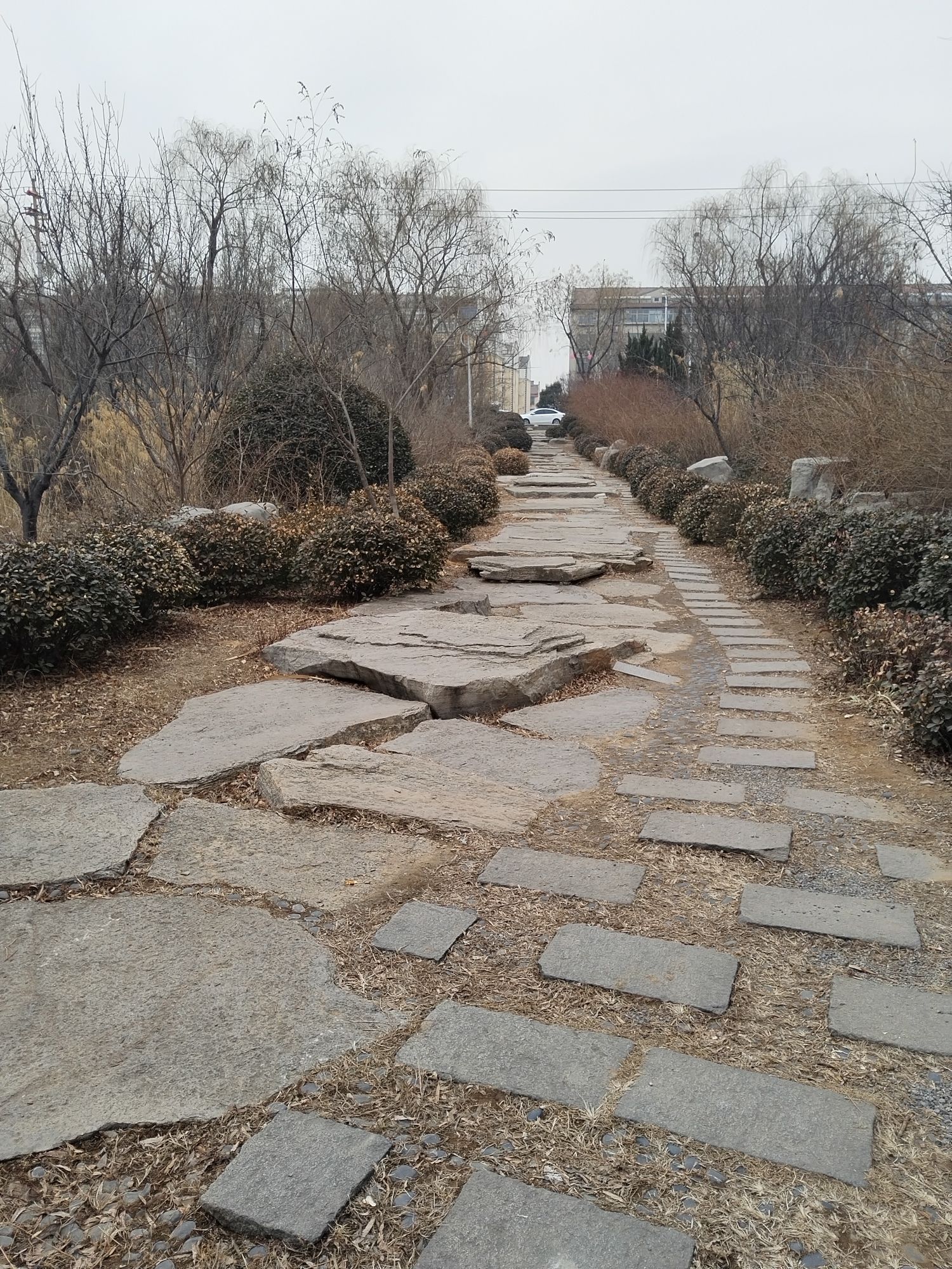 柳泉湿地公园旅行图片 1