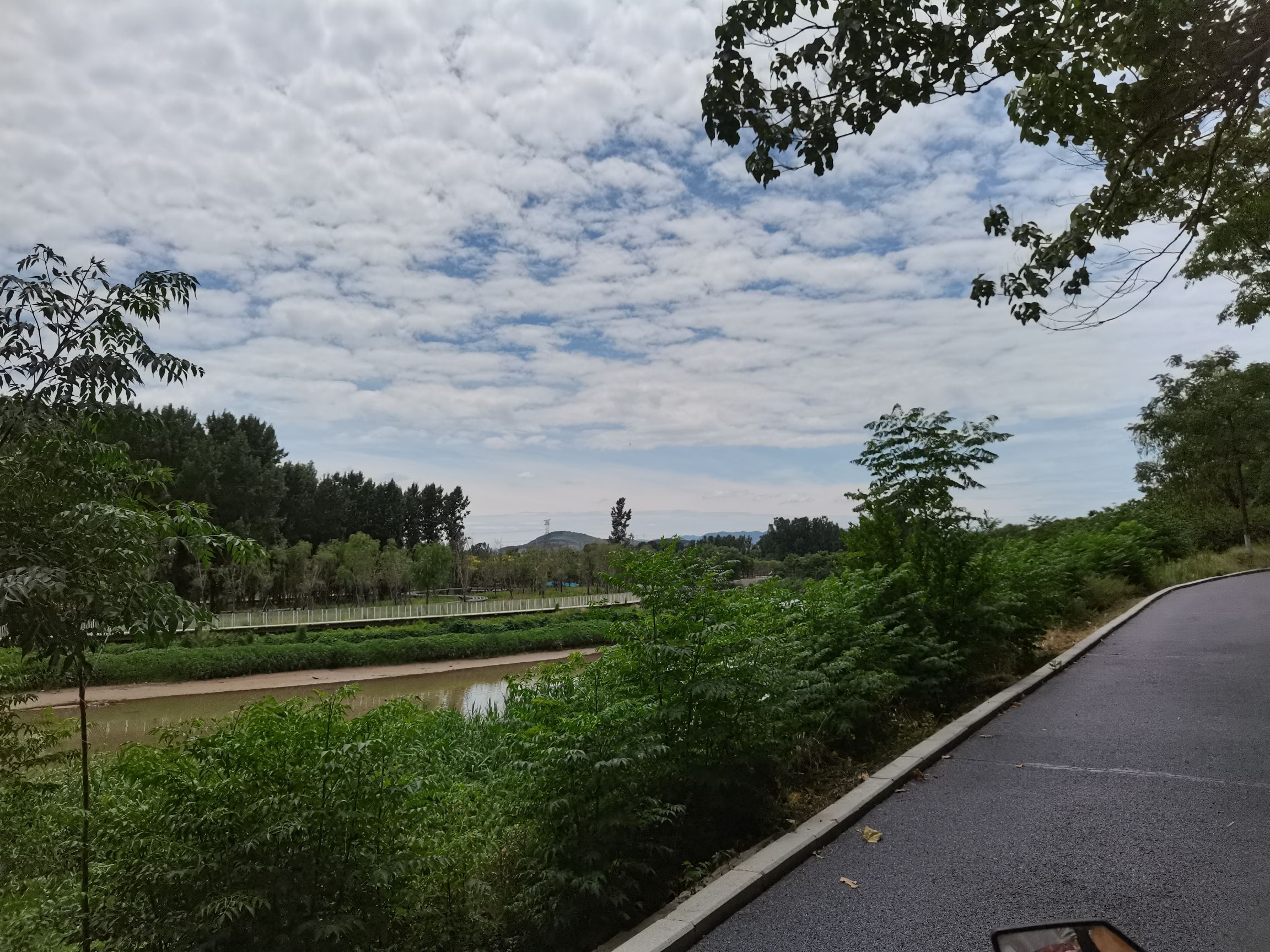 柳泉湿地公园旅行图片 2