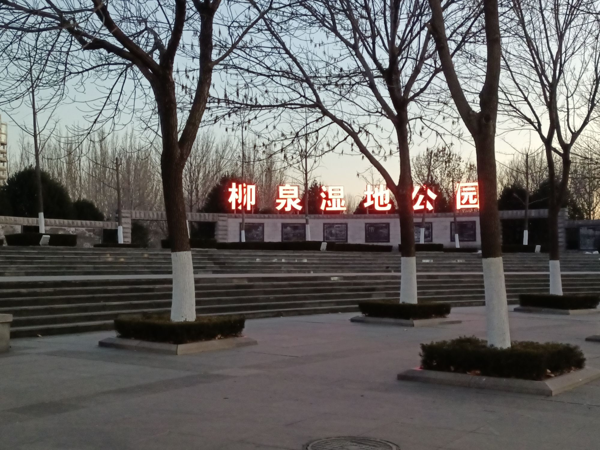 柳泉湿地公园旅行图片 1
