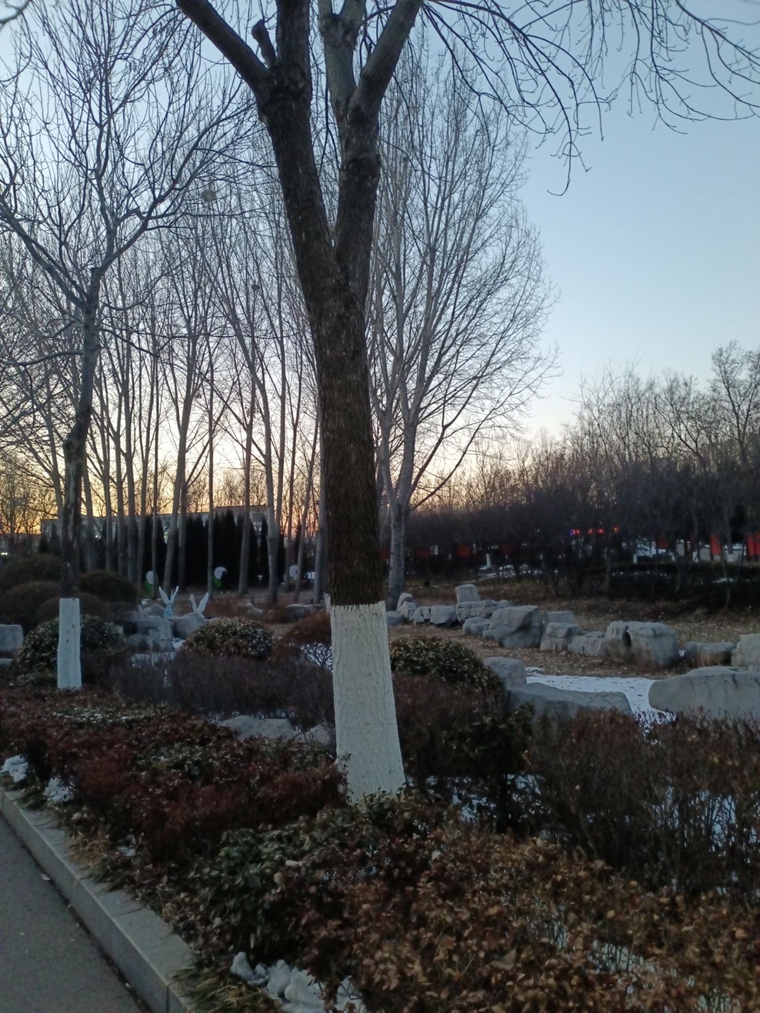 柳泉湿地公园旅行图片 3