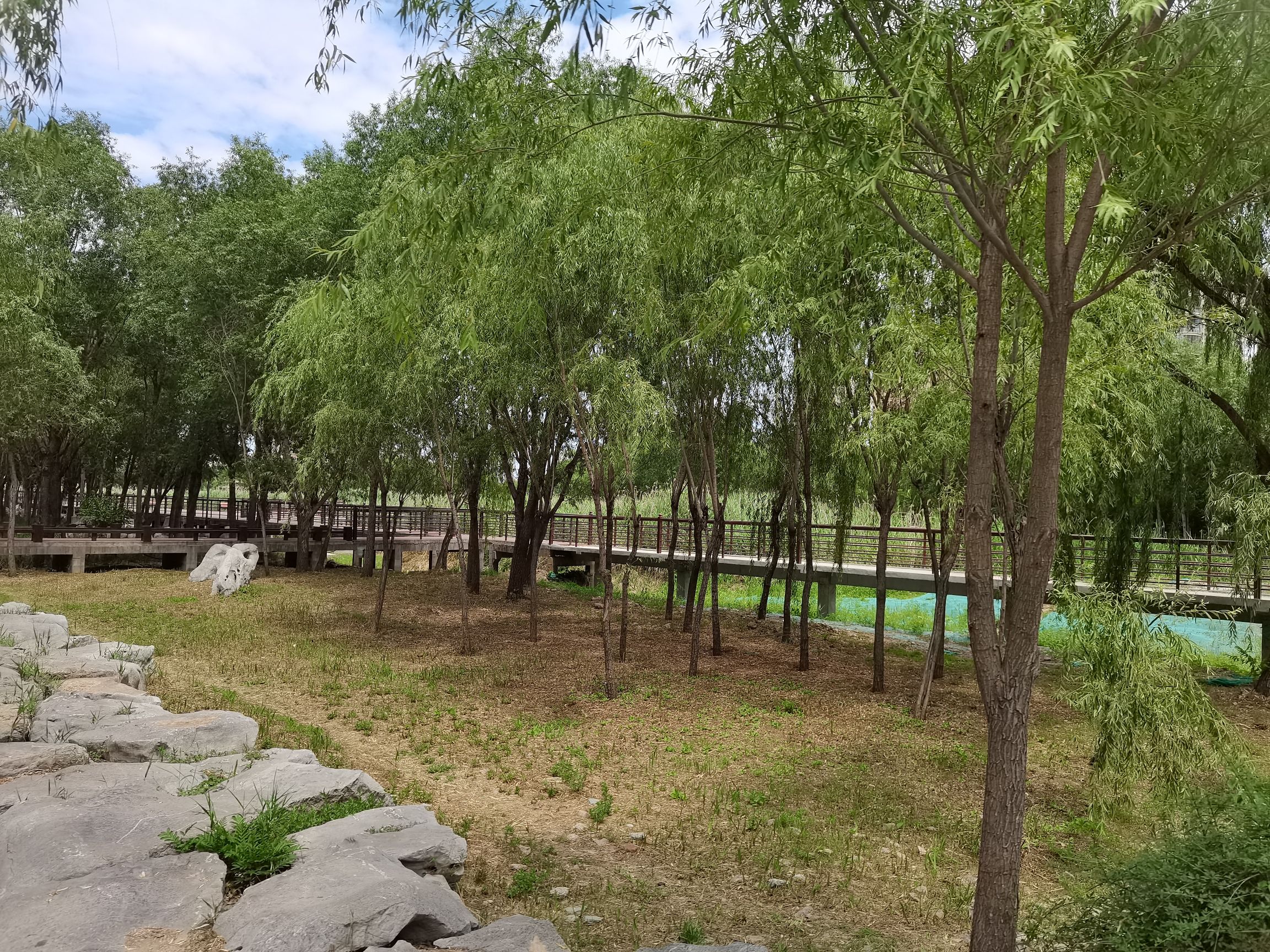 柳泉湿地公园旅行图片 1
