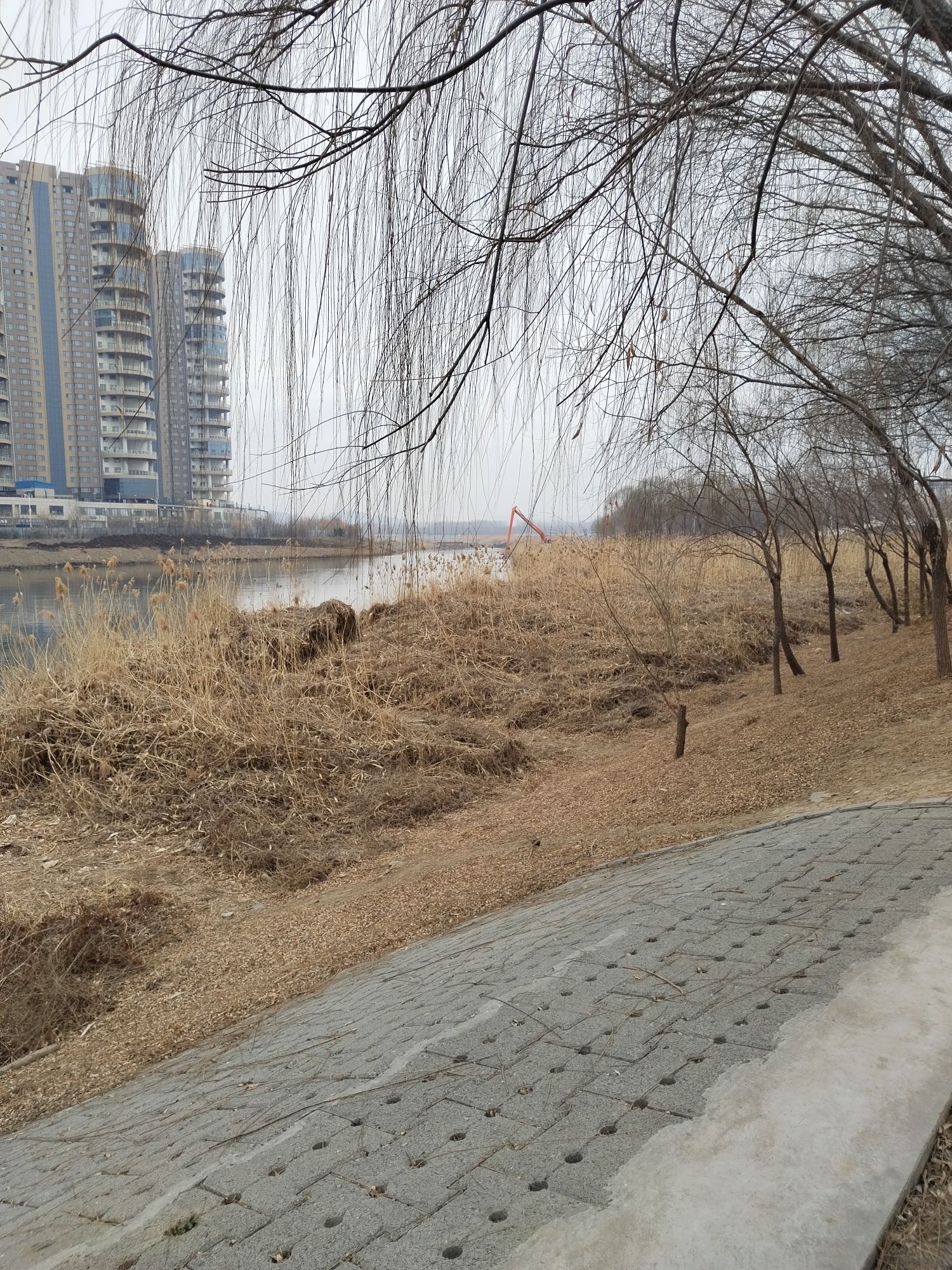 柳泉湿地公园旅行图片 3