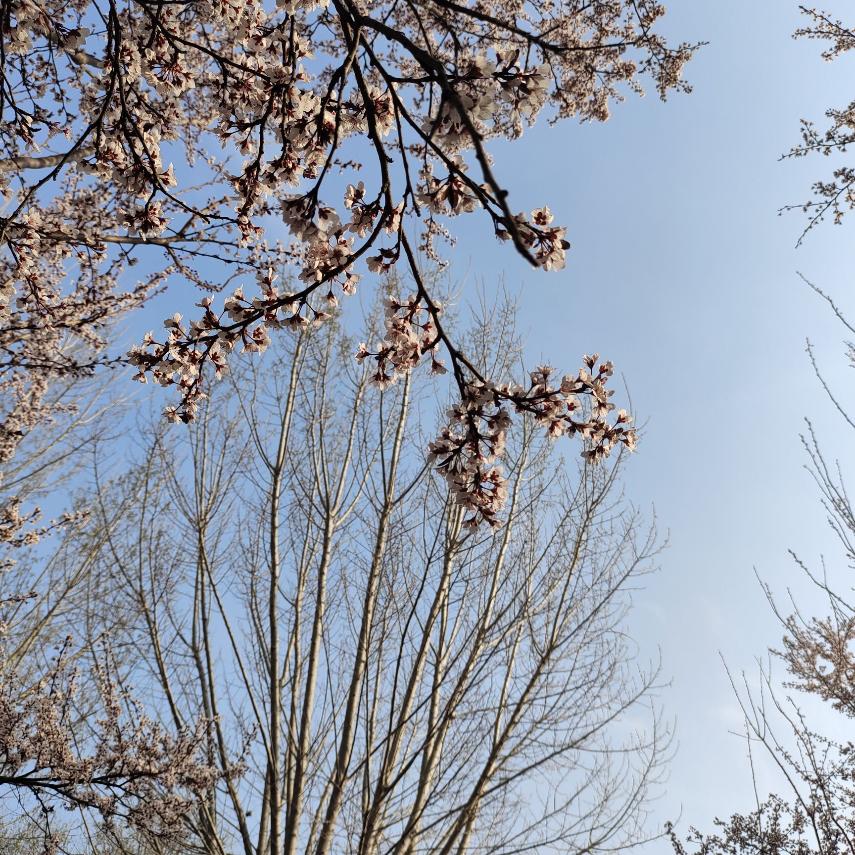 柳泉湿地公园旅行图片 2