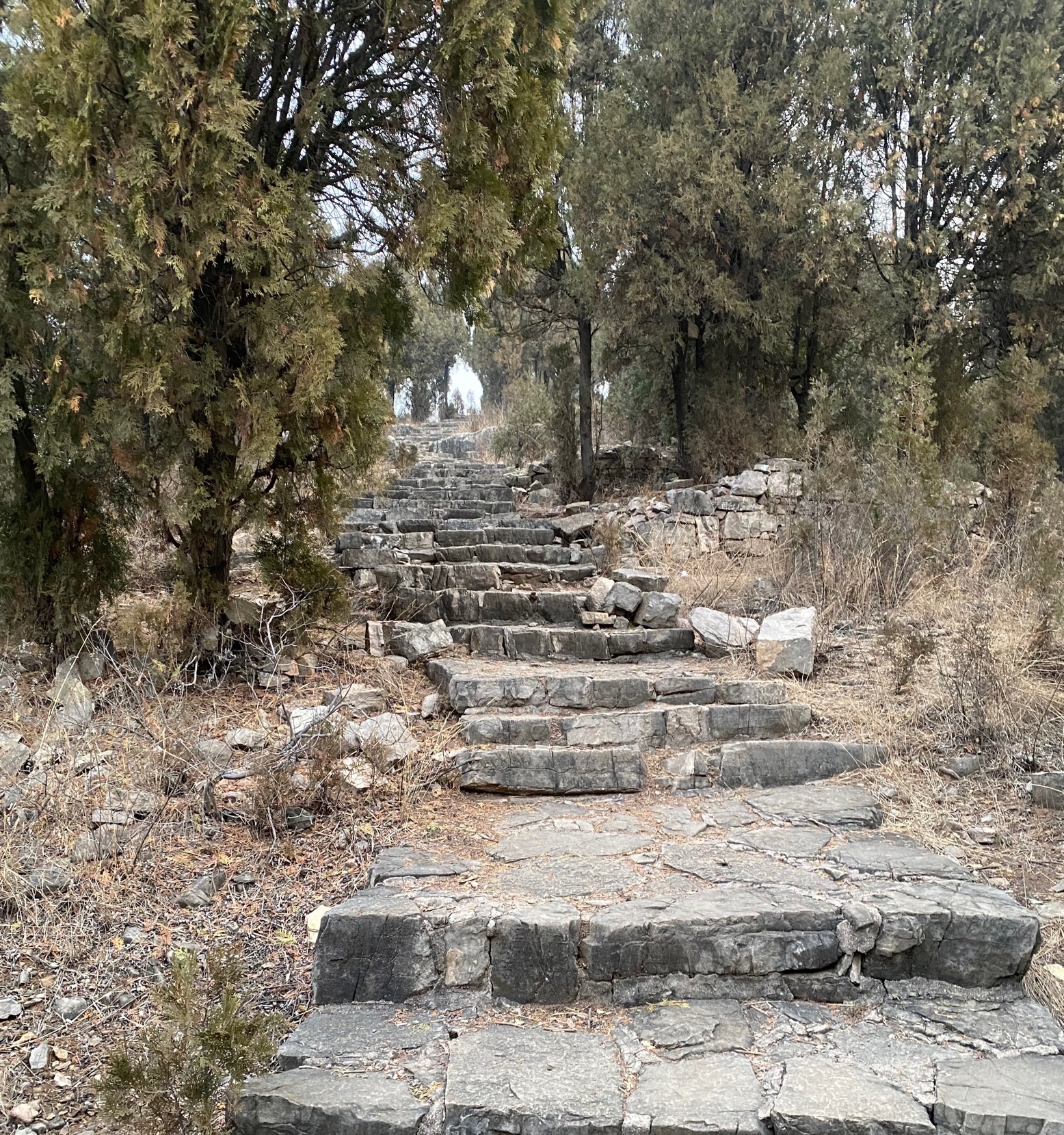历山公园旅行图片 1
