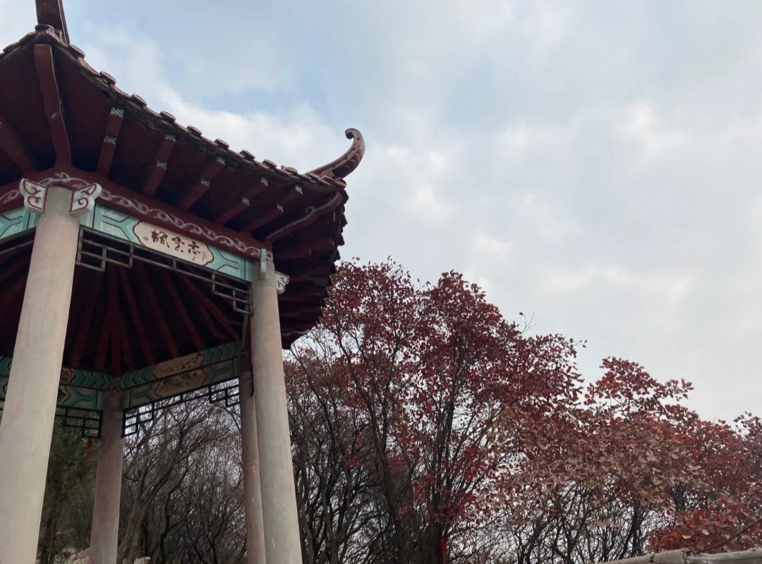 历山公园旅行图片 3