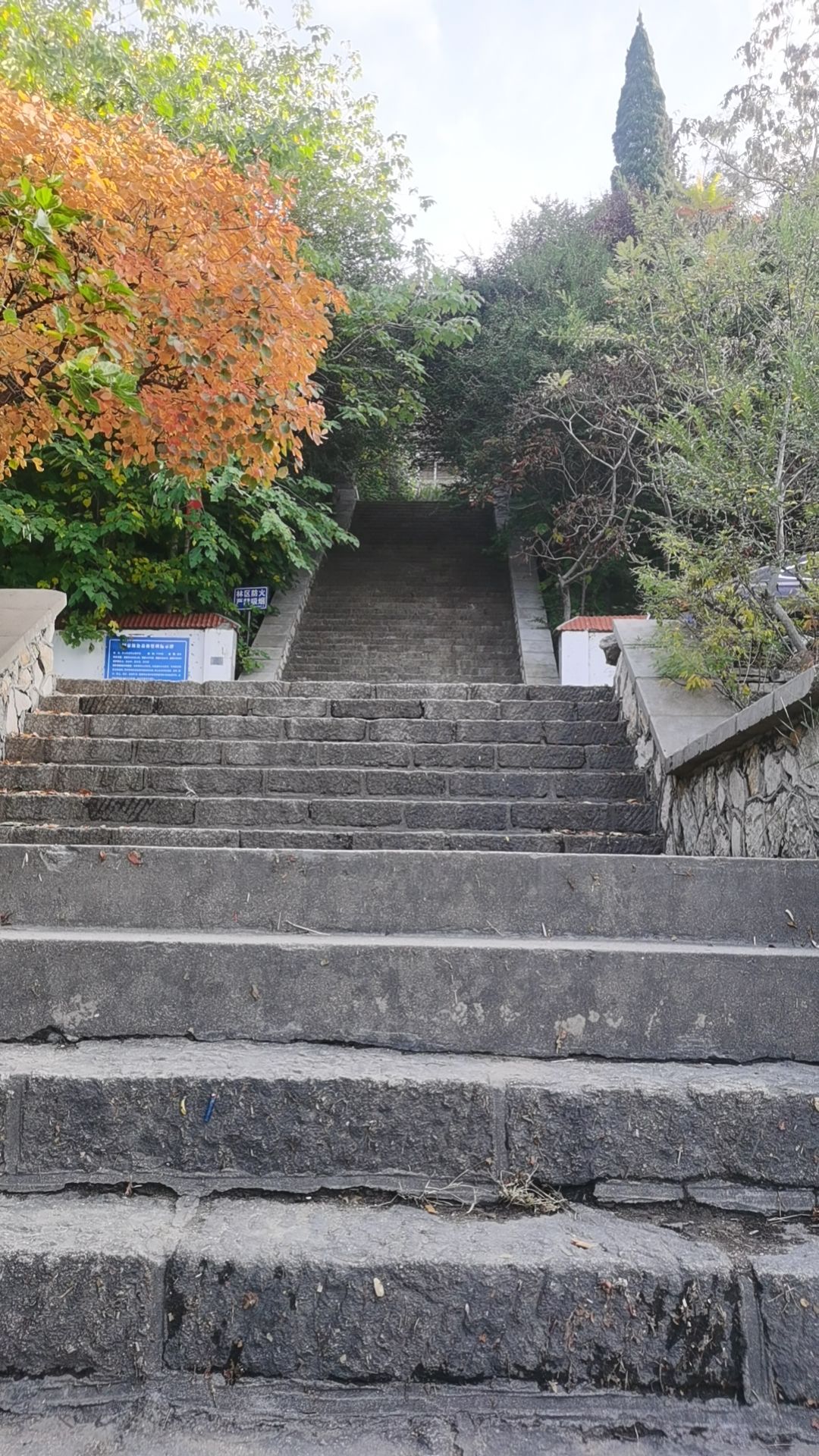 历山公园旅行图片 2