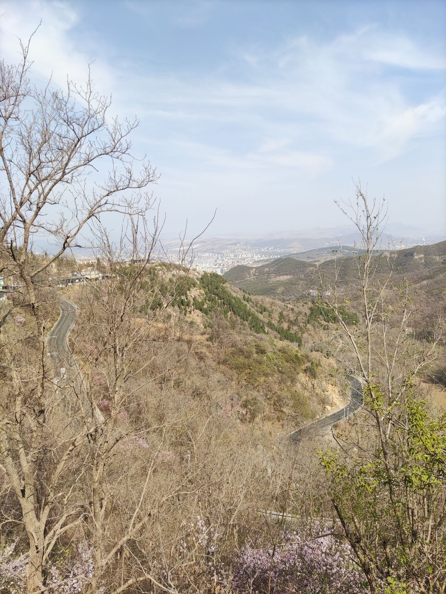 禹王山林区旅行图片 3