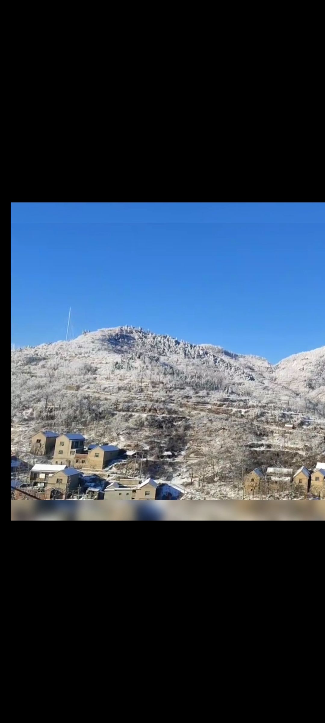 禹王山林区旅行图片 1