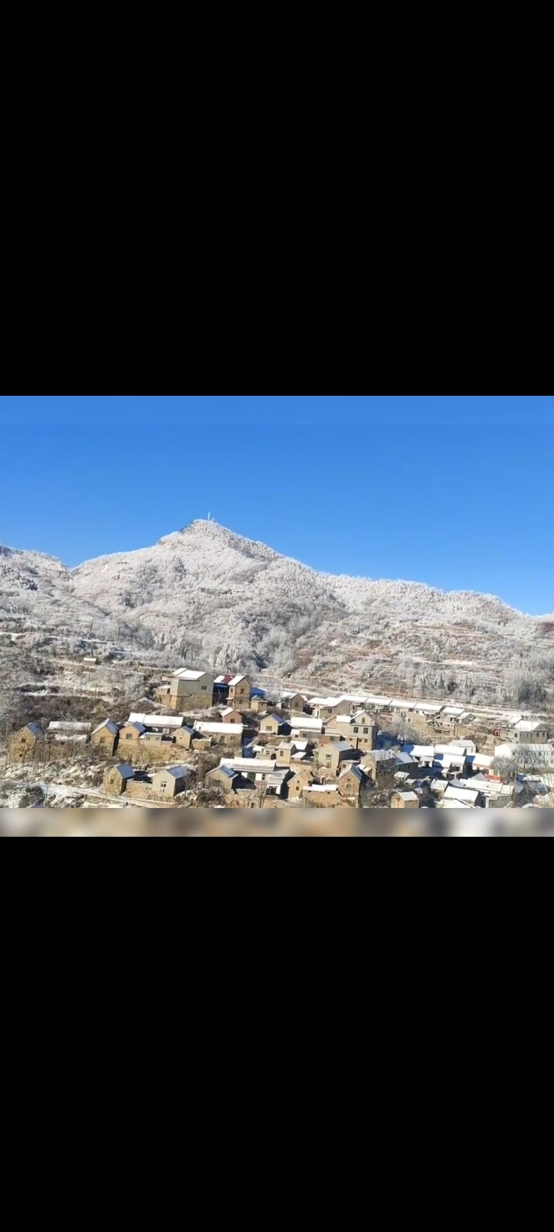禹王山林区旅行图片 2