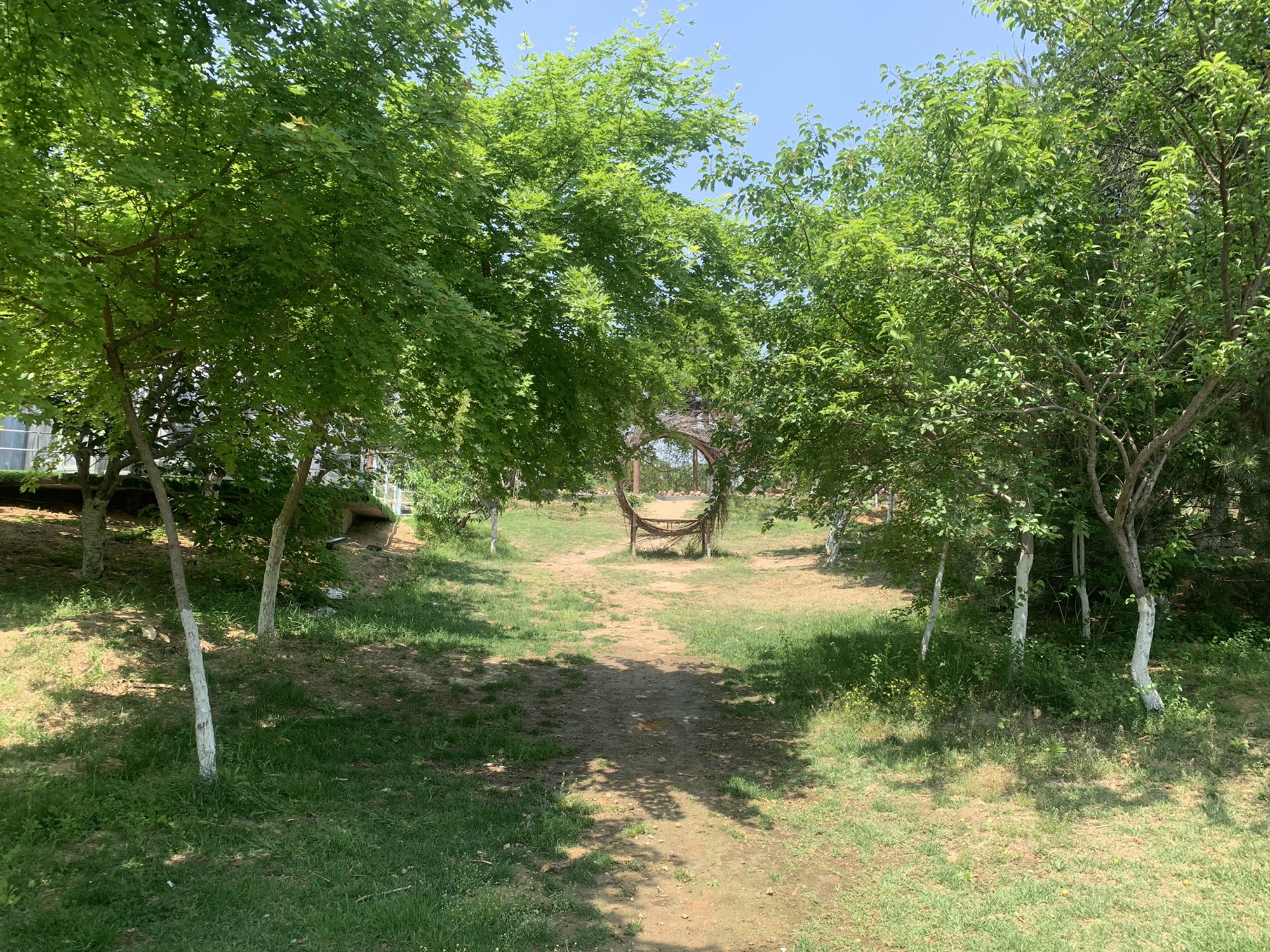 汇泉桃花岛旅行图片 3