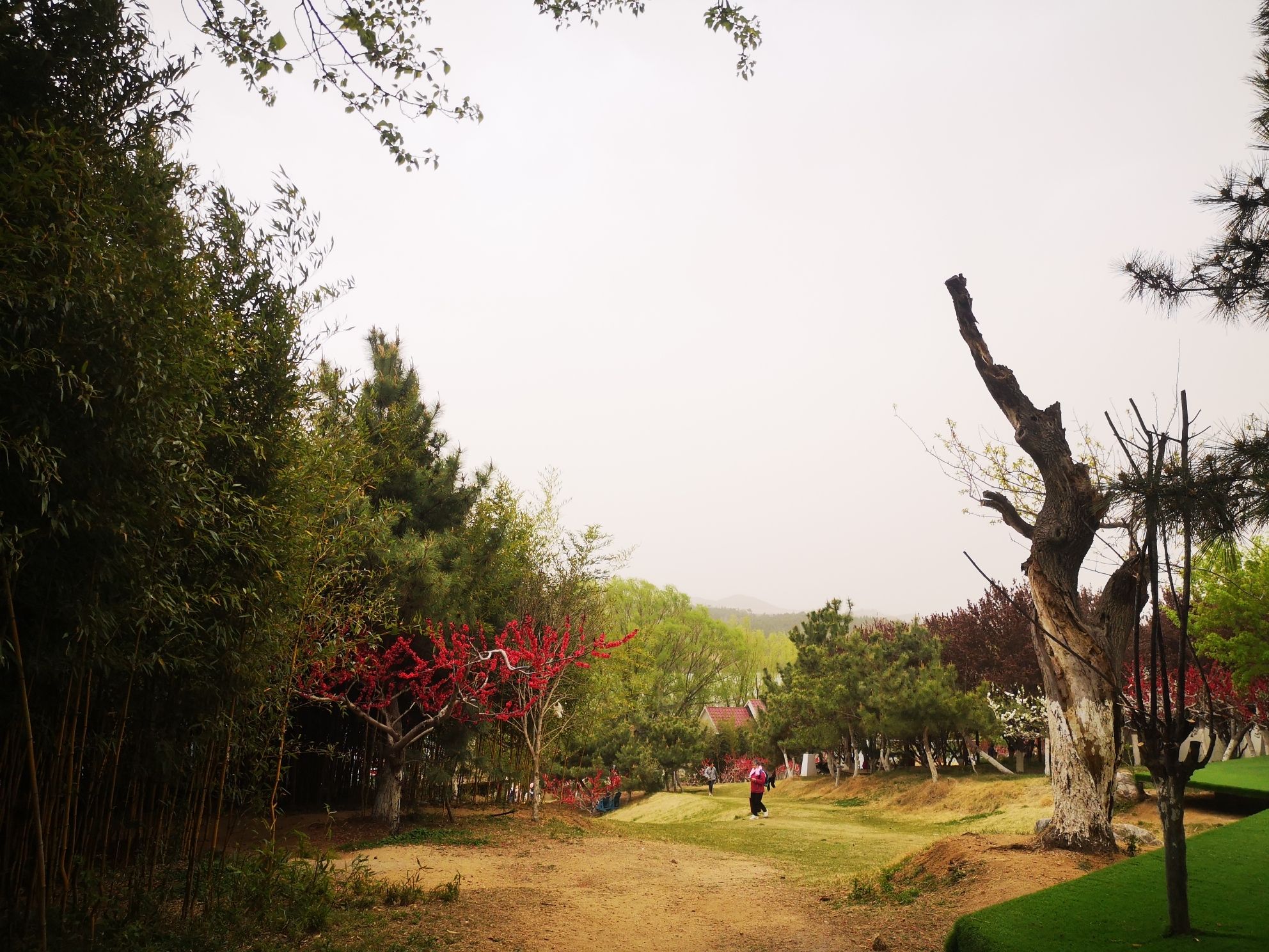 汇泉桃花岛旅行图片 1