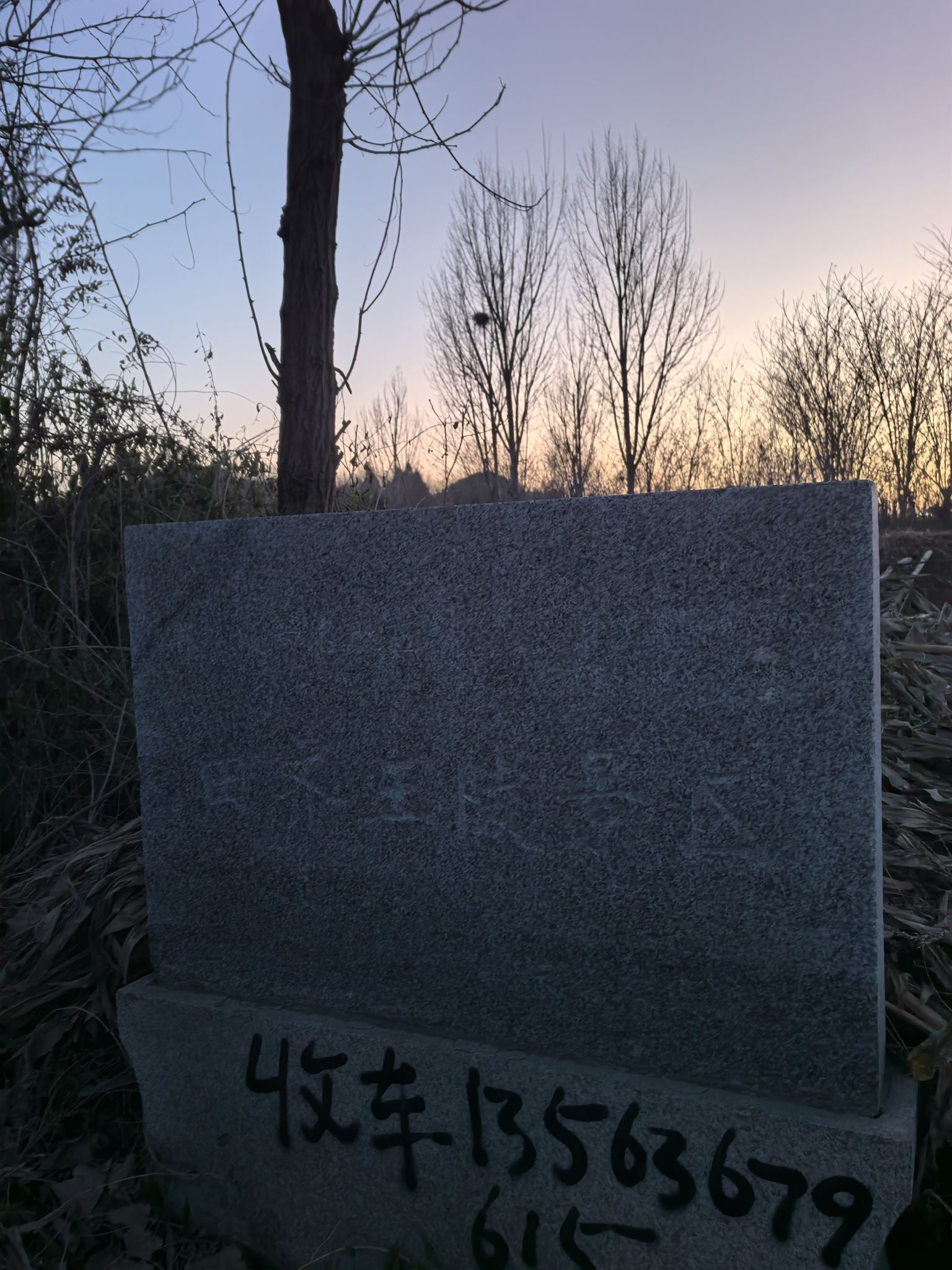 四王冢旅行图片 1