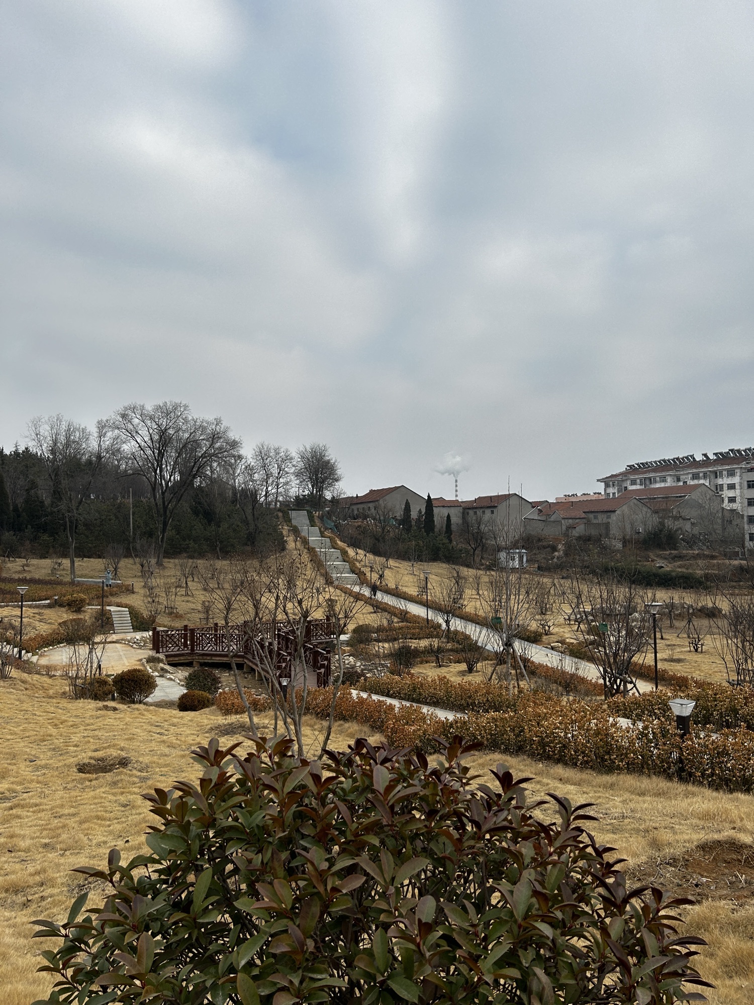 胜利山九九乐园旅行图片 3