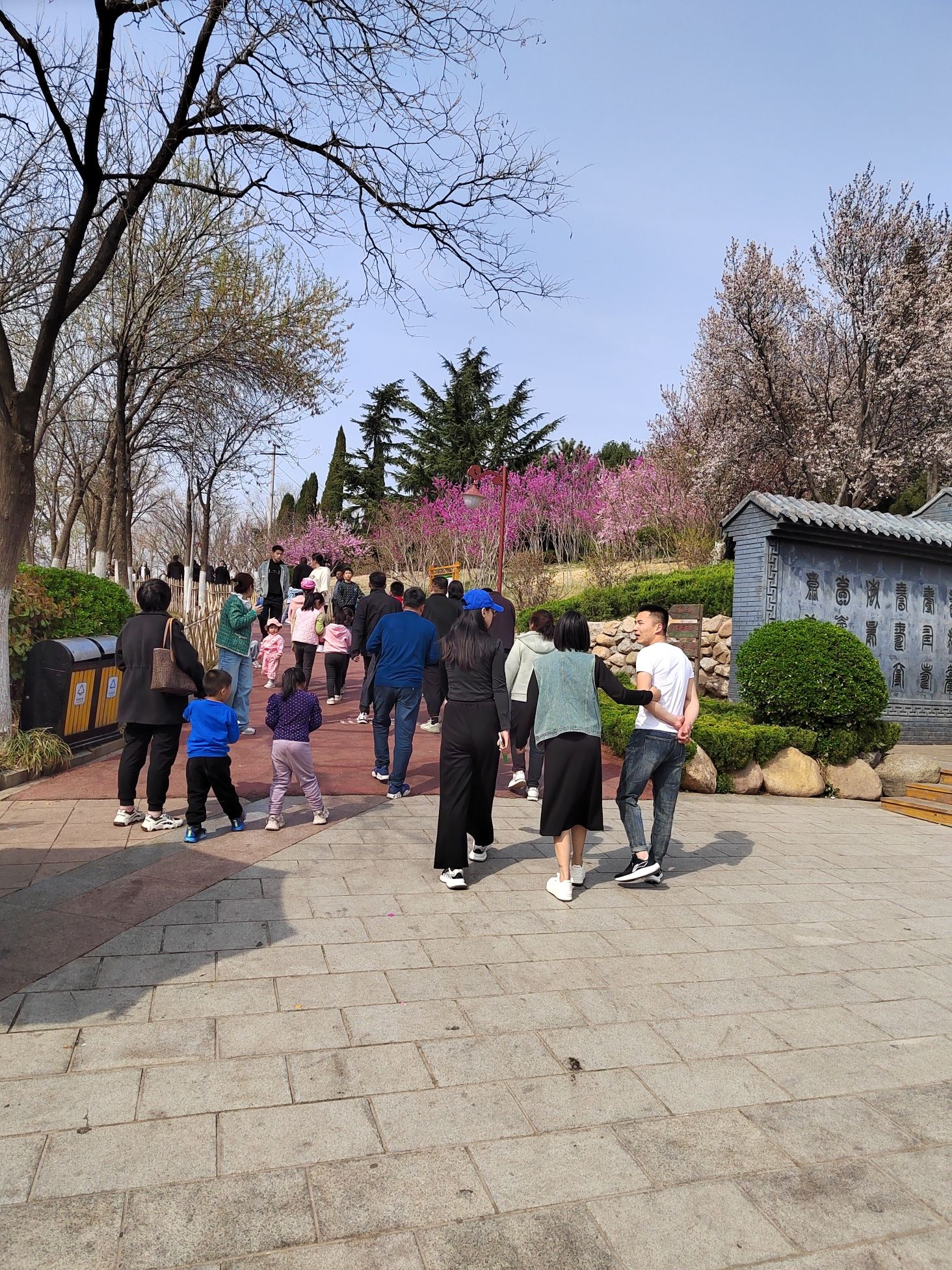 胜利山九九乐园旅行图片 2