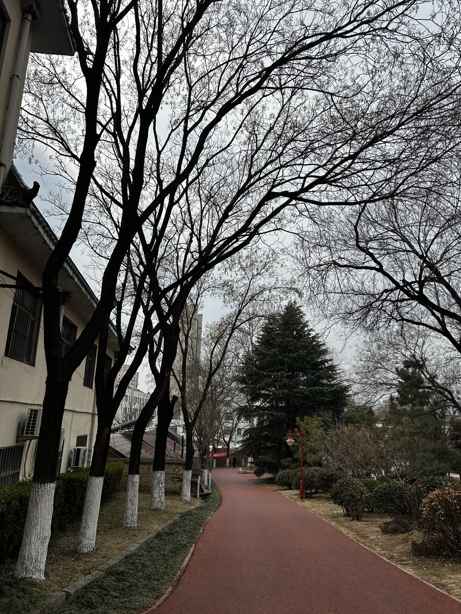 胜利山九九乐园旅行图片 1