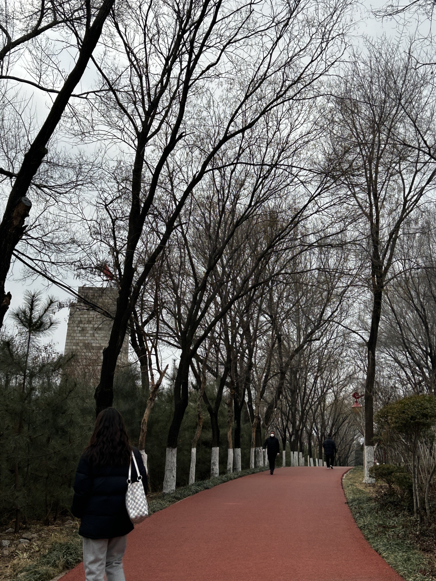 胜利山九九乐园旅行图片 2