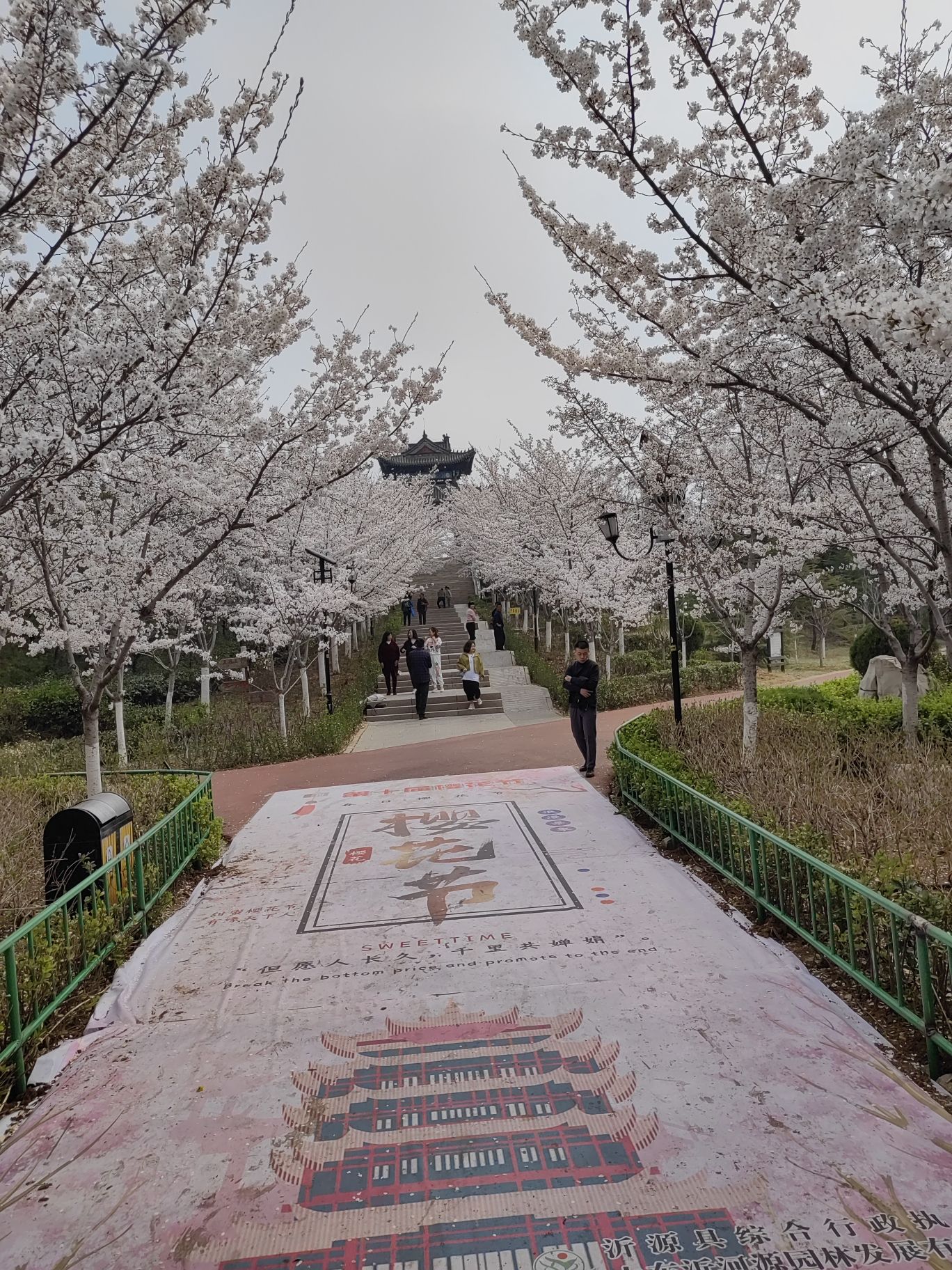 胜利山九九乐园旅行图片 1