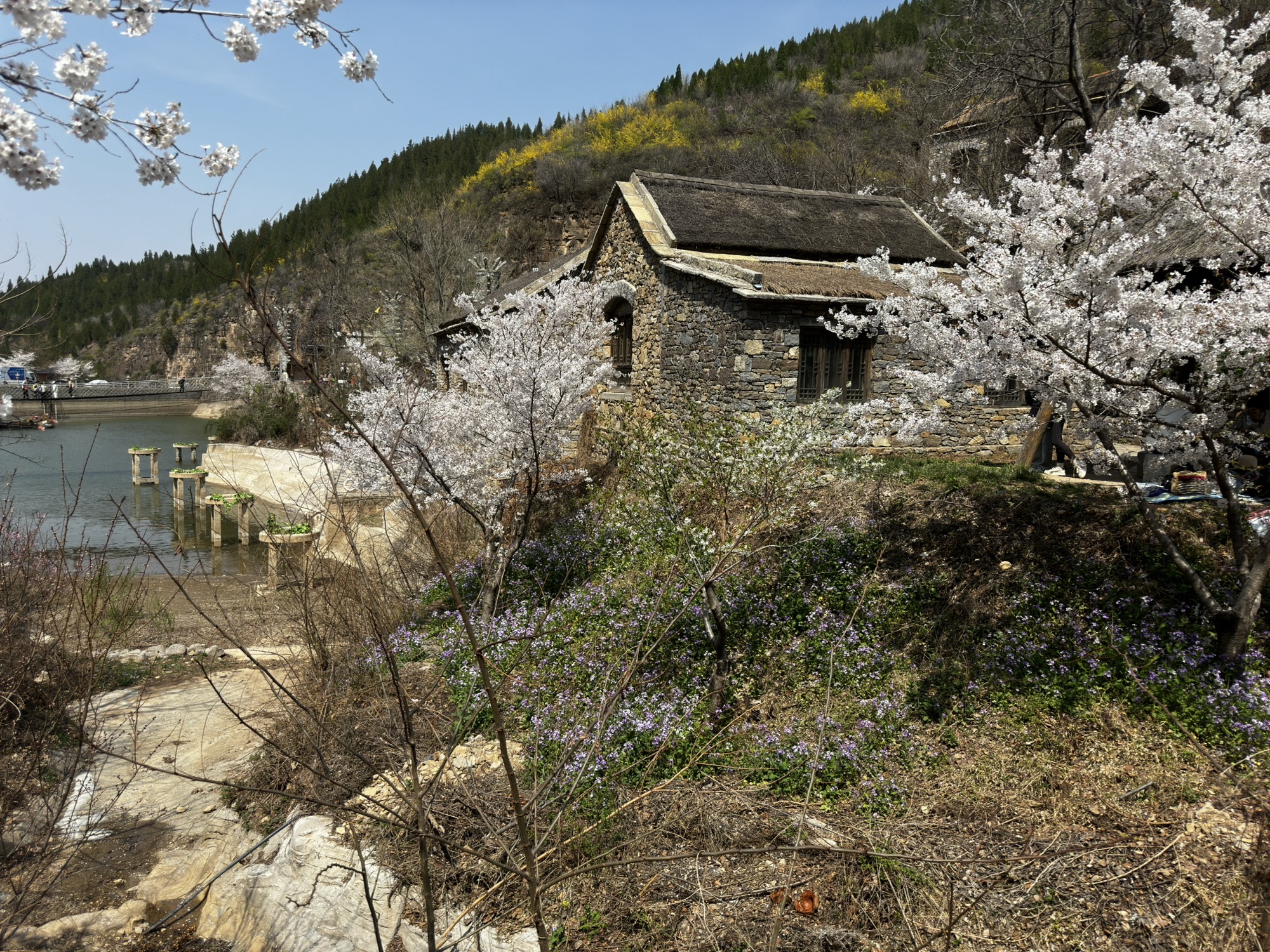齐山风景区旅行图片 2