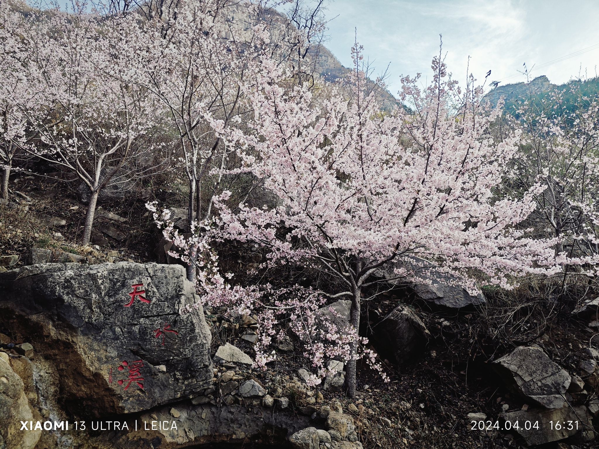 齐山风景区旅行图片 3