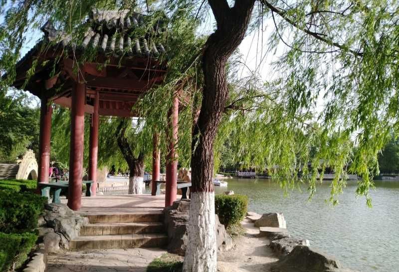 齐园旅行图片 3
