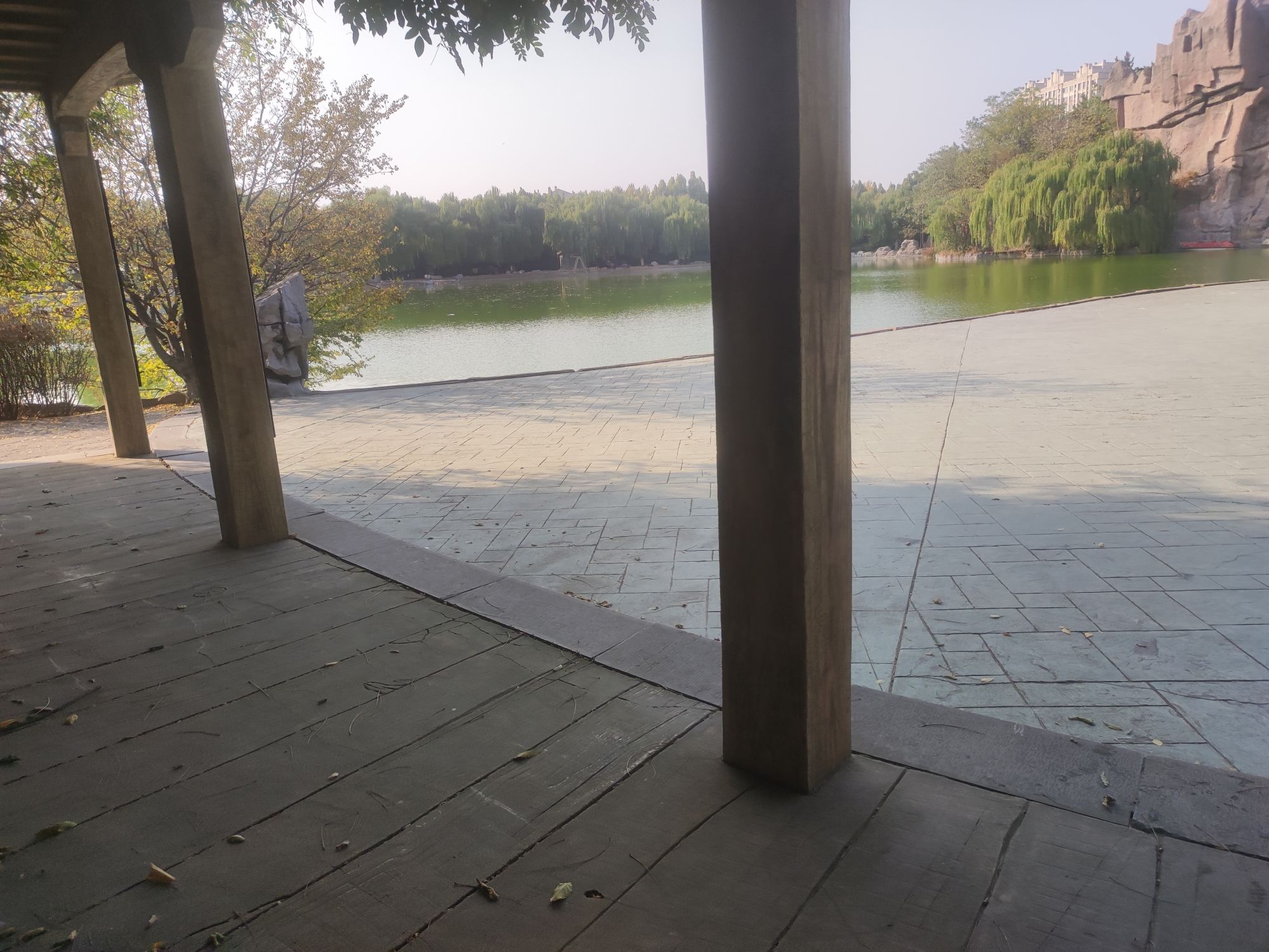 齐园旅行图片 2
