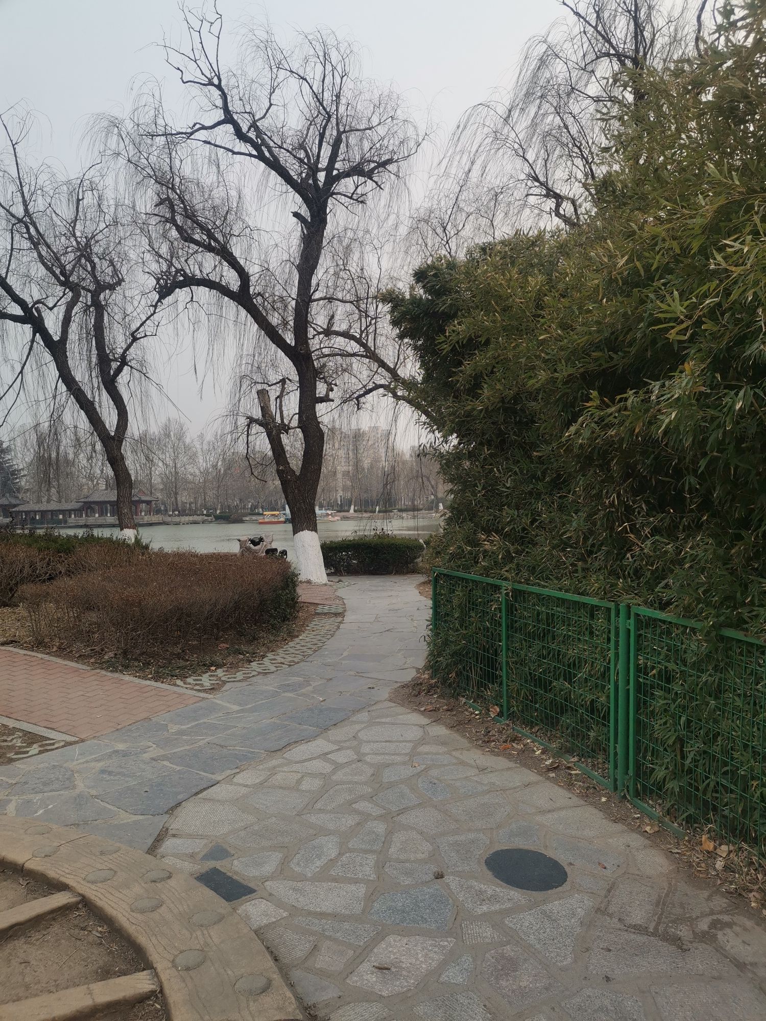 齐园旅行图片 2