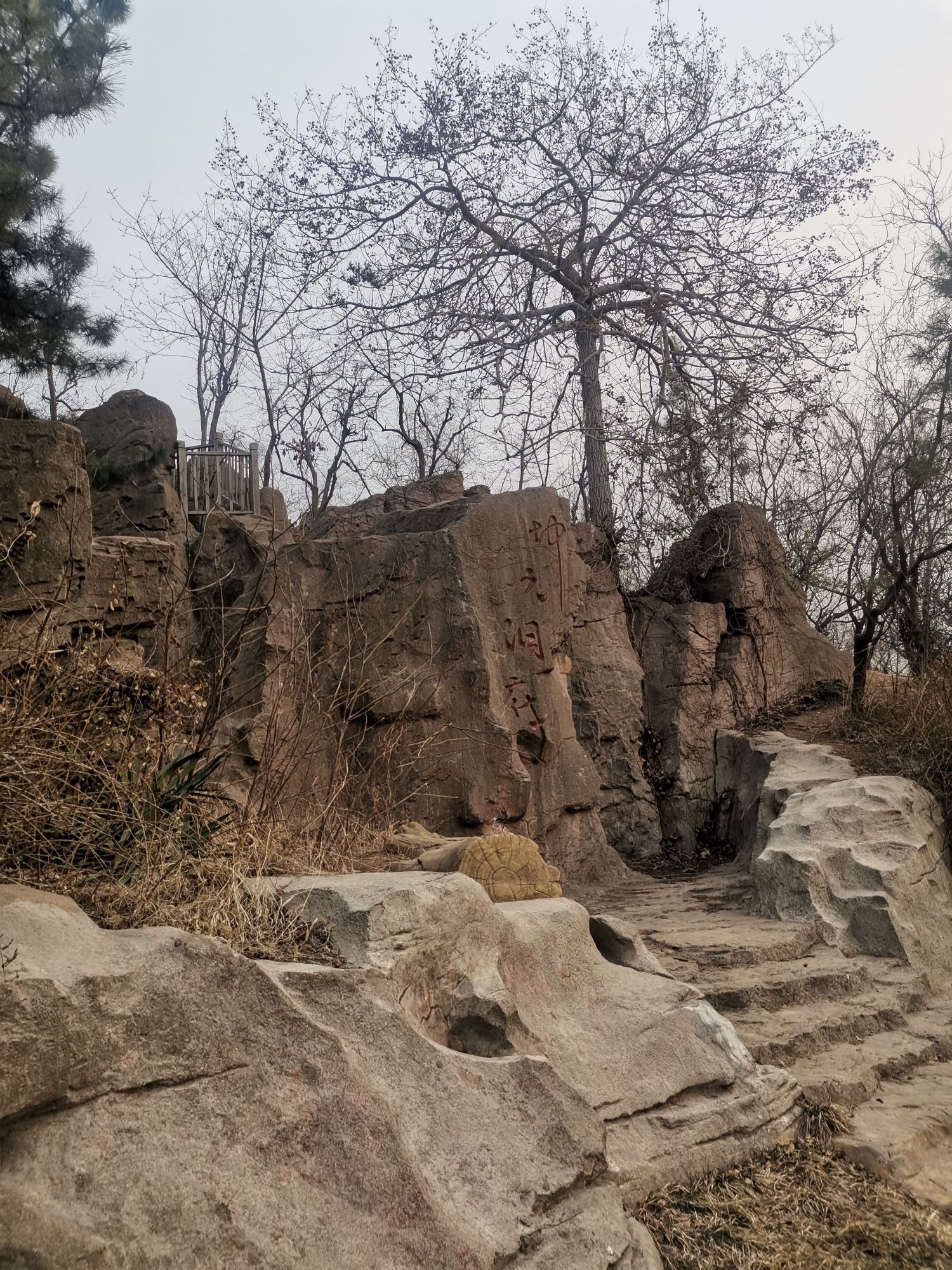 齐园旅行图片 3