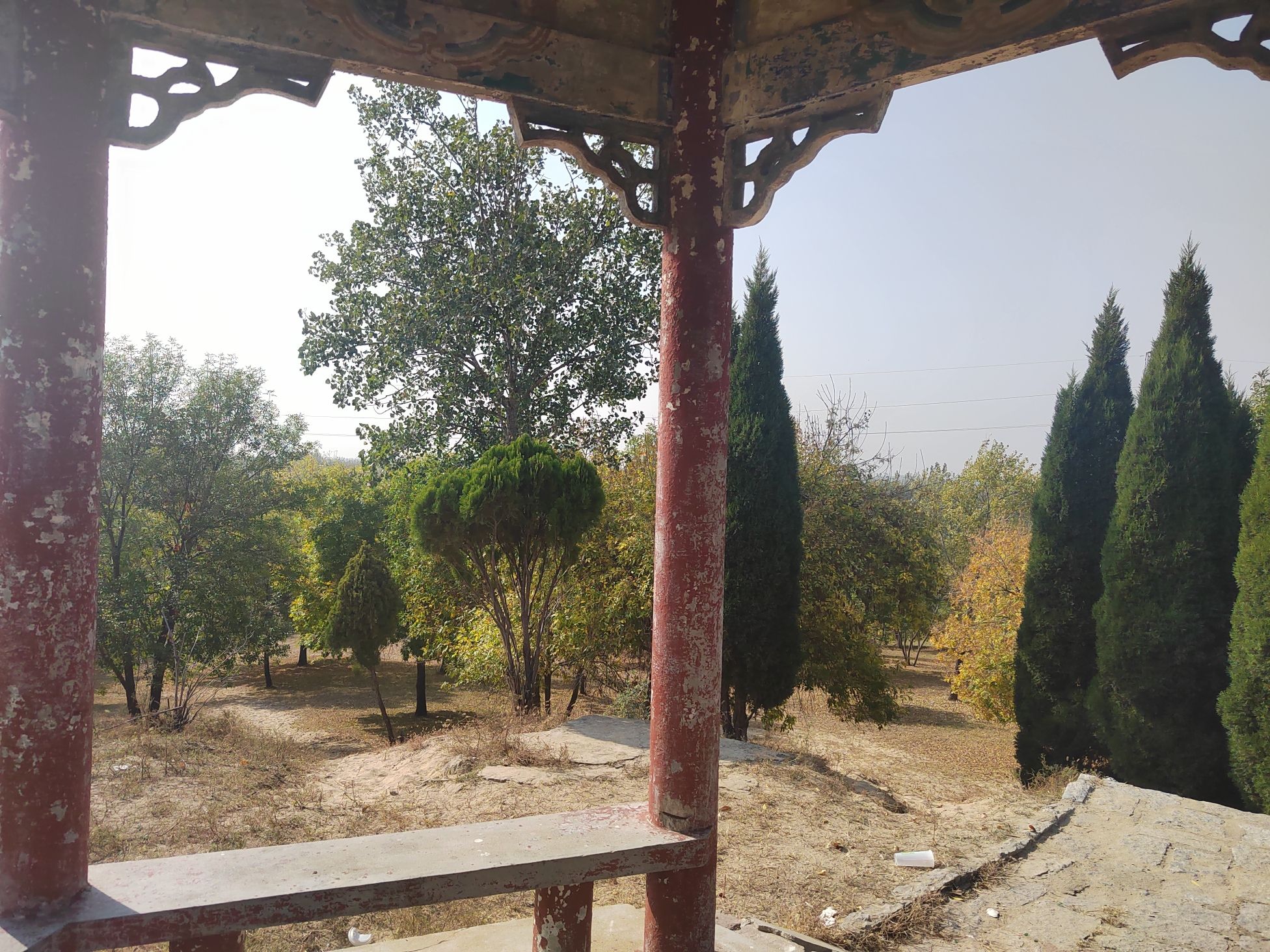 红坛寺森林公园旅行图片 3