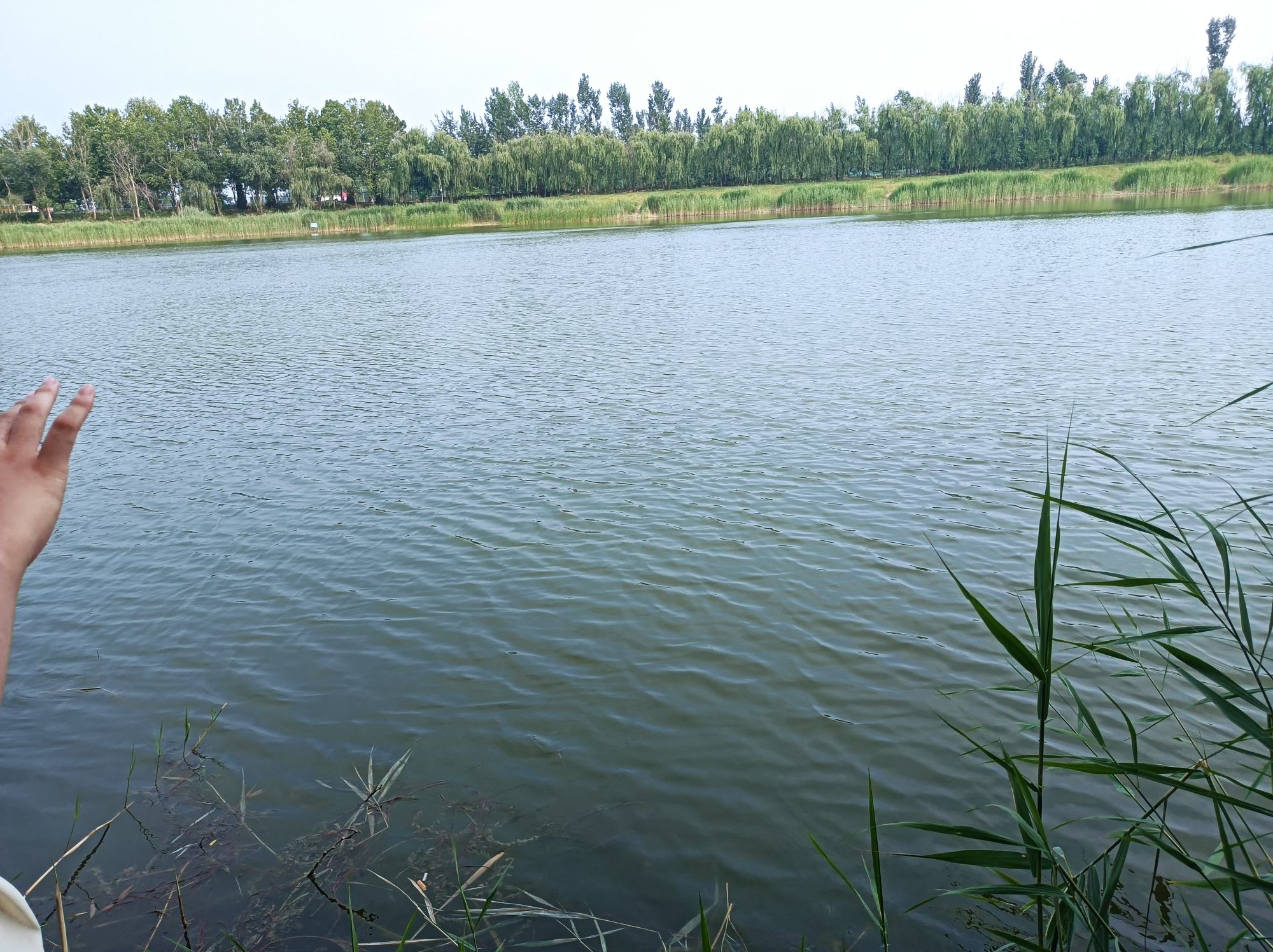 红坛寺森林公园旅行图片 1