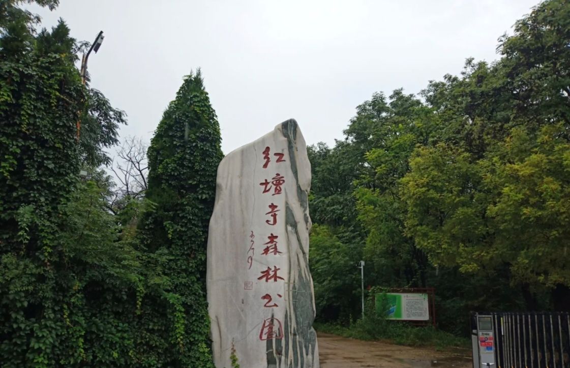 红坛寺森林公园旅行图片 2