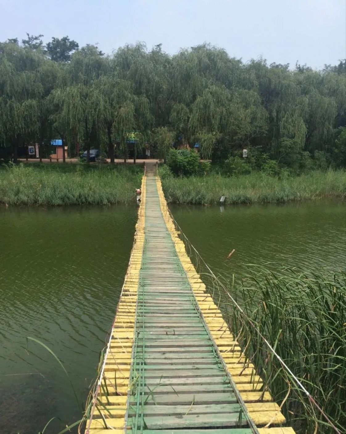 红坛寺森林公园旅行图片 3
