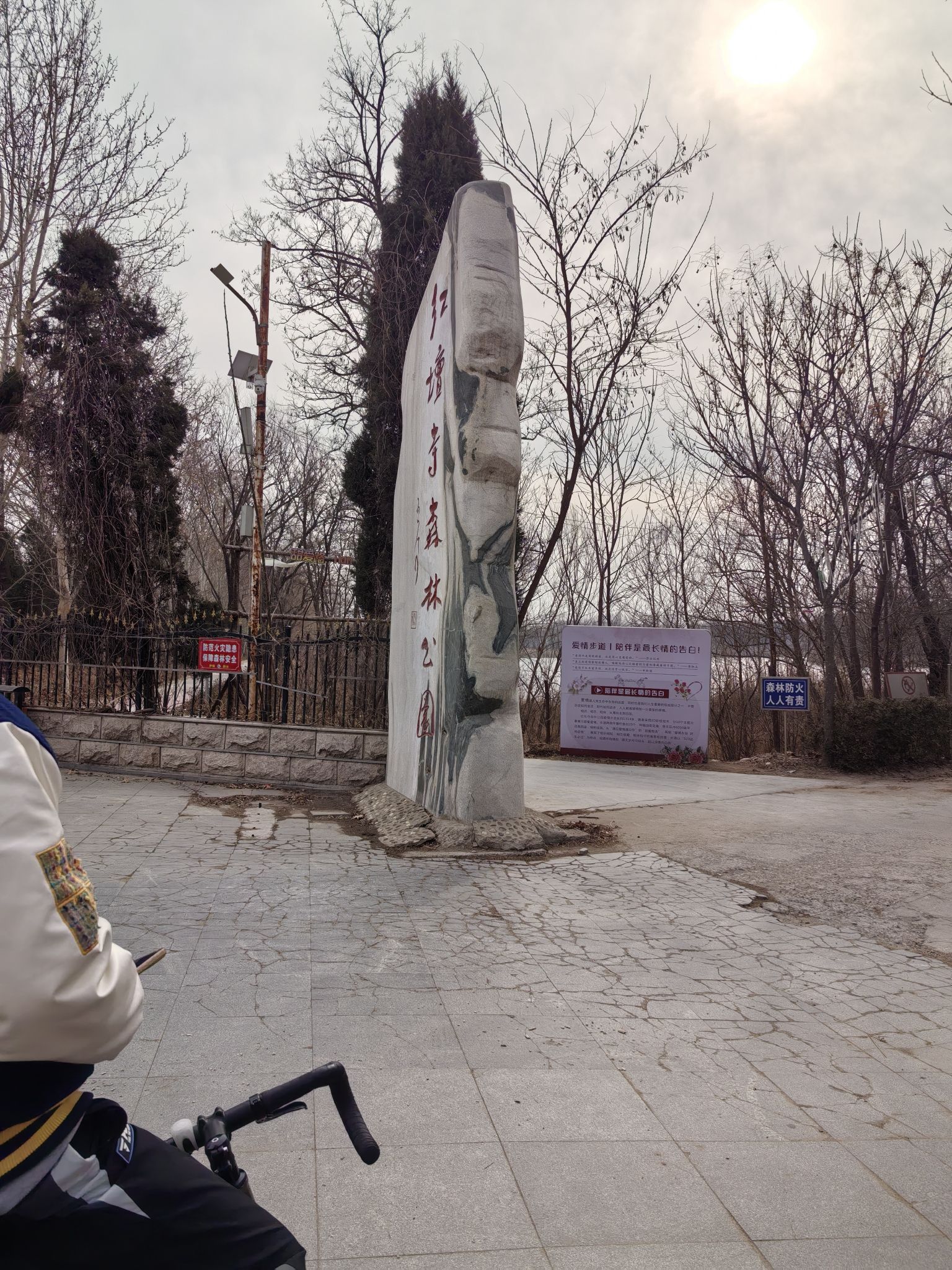 红坛寺森林公园旅行图片 2