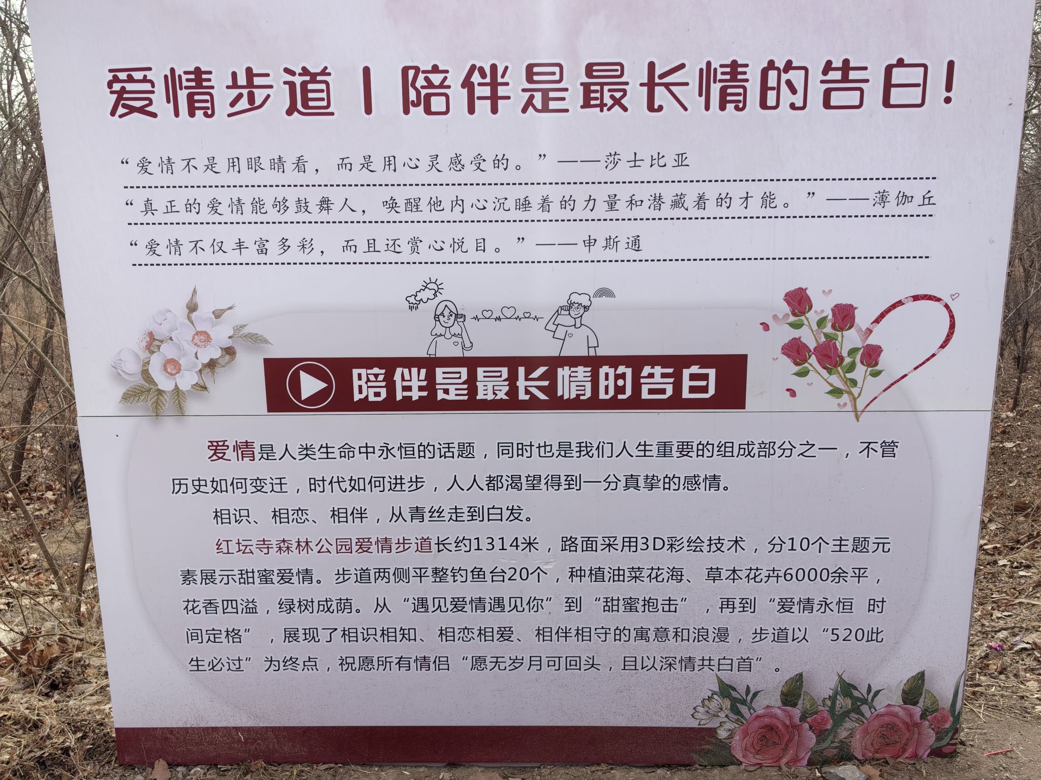 红坛寺森林公园旅行图片 1