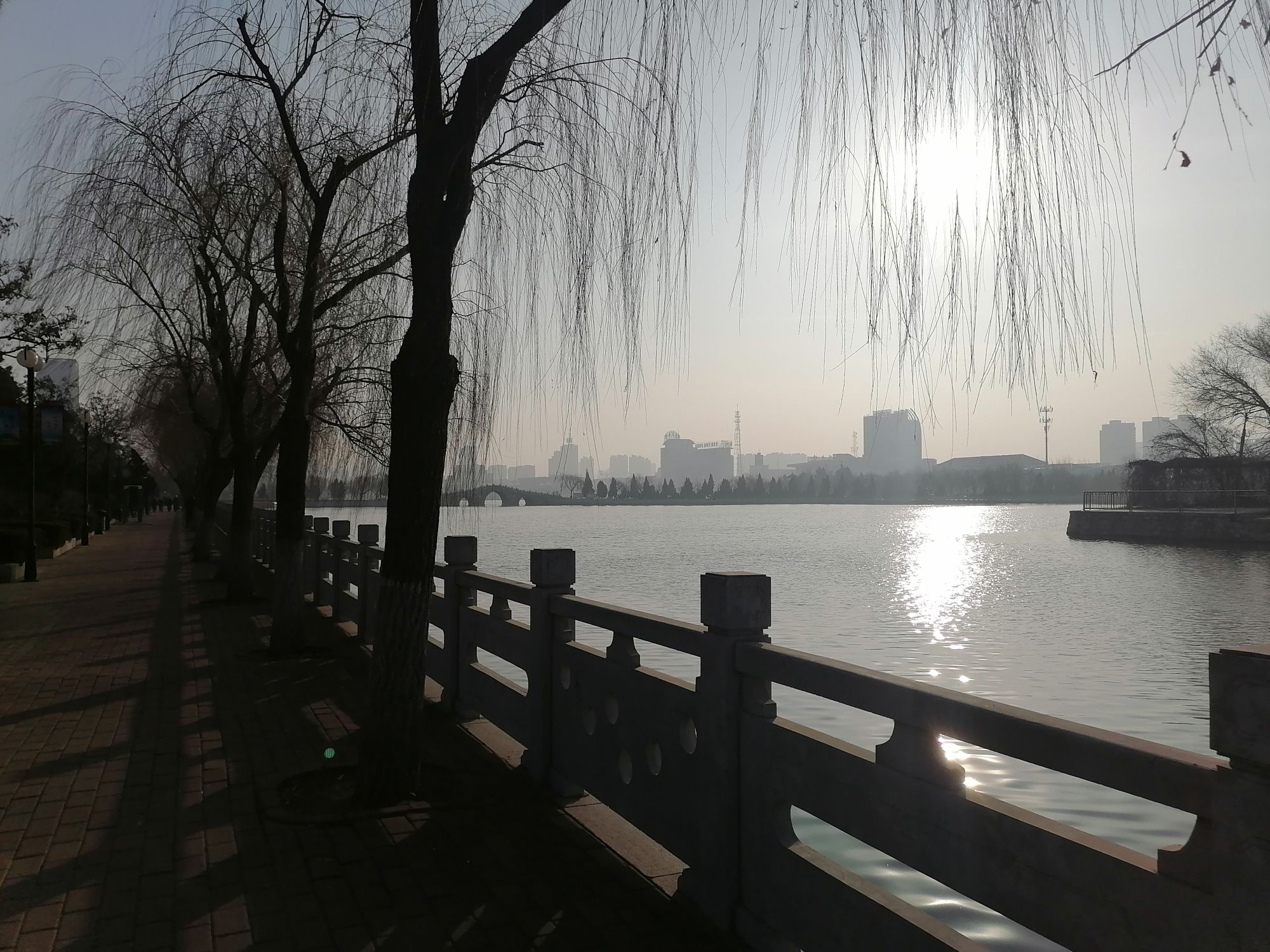 新湖风景区旅行图片 2