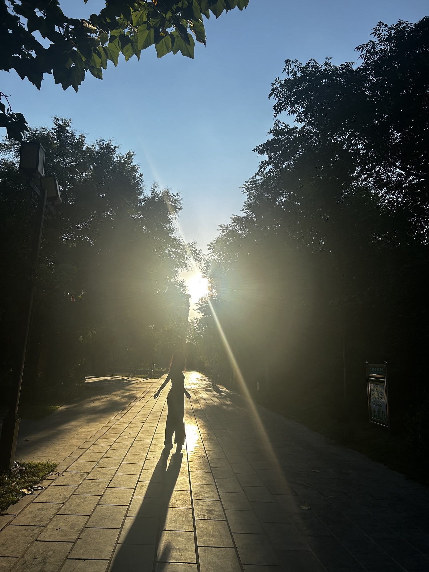 颜真卿公园旅行图片 2