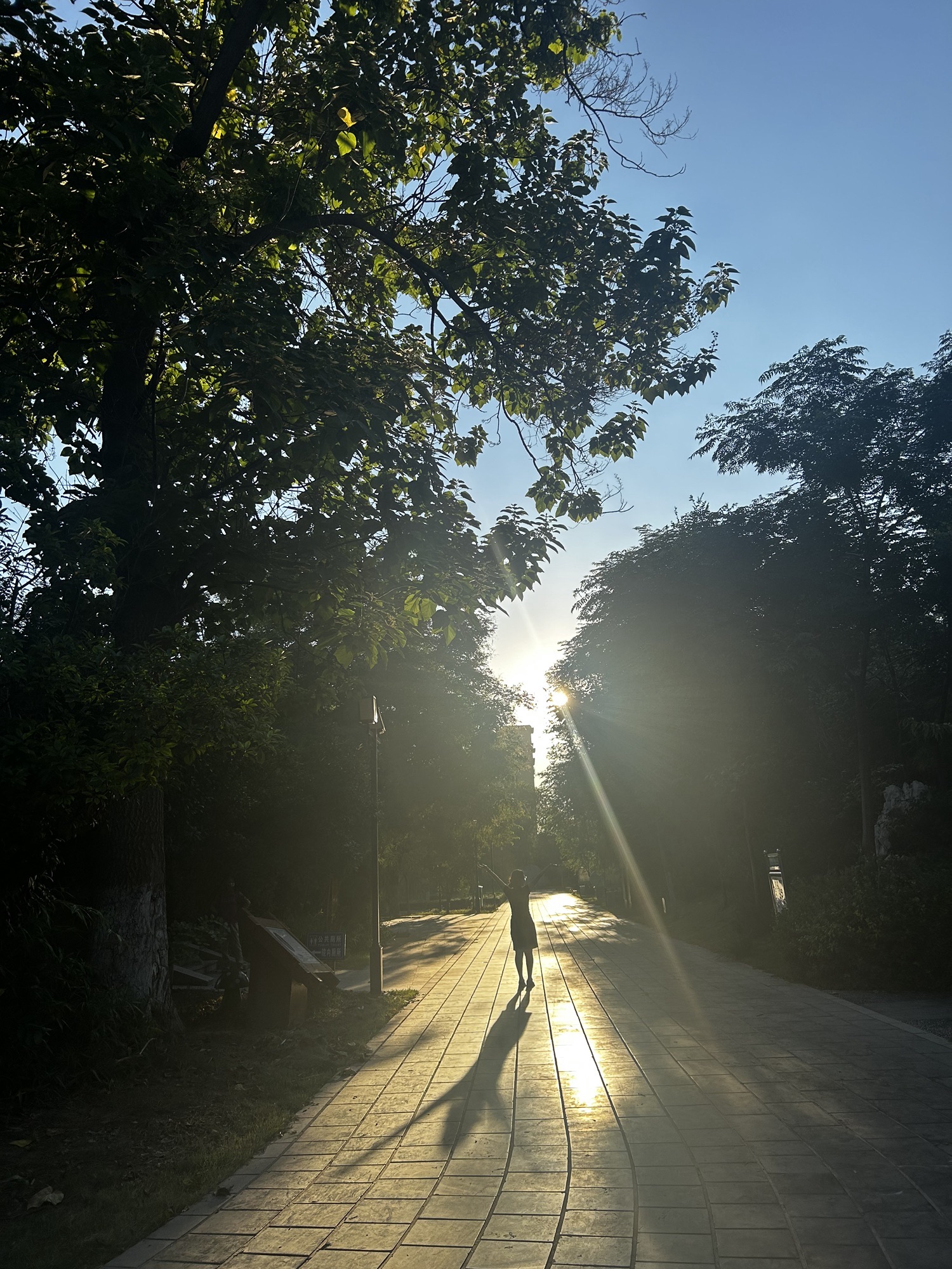 颜真卿公园旅行图片 3