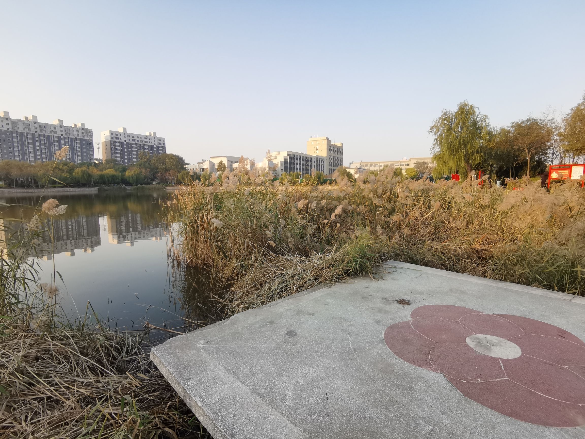 邢侗公园旅行图片 3