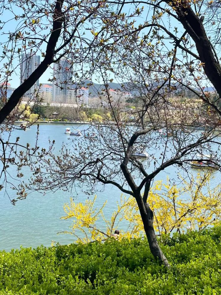 长河公园旅行图片 2