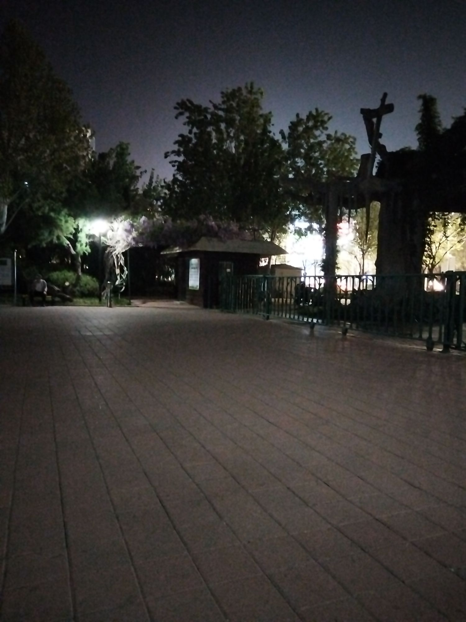 植物园旅行图片 1