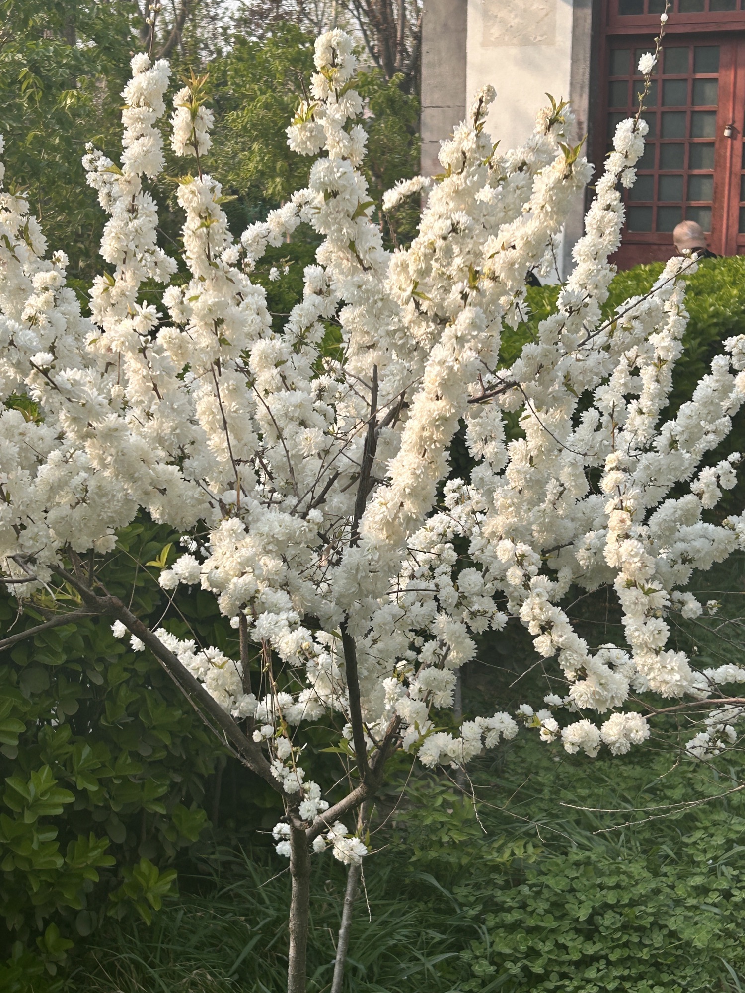 植物园旅行图片 1