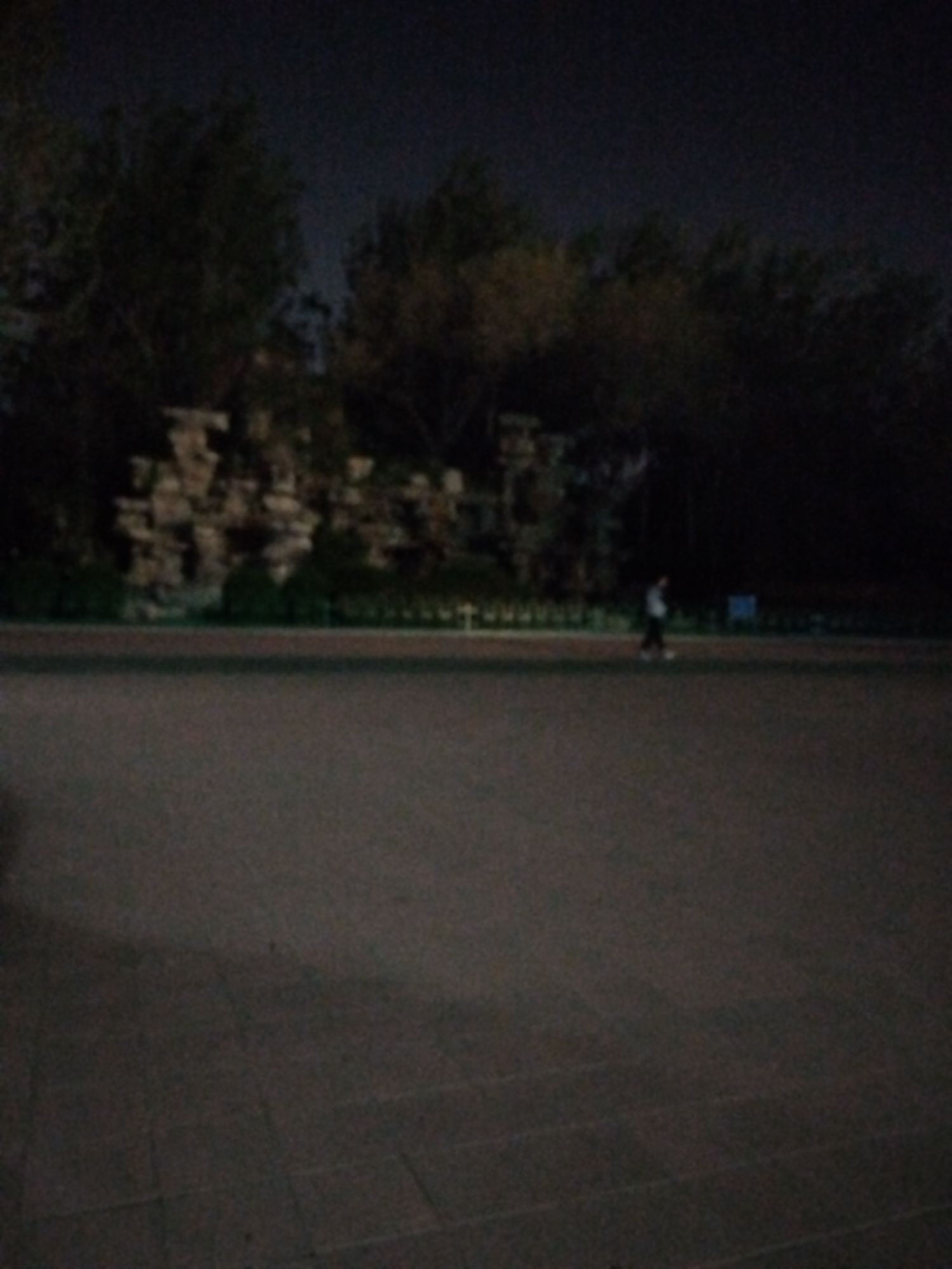 植物园旅行图片 2