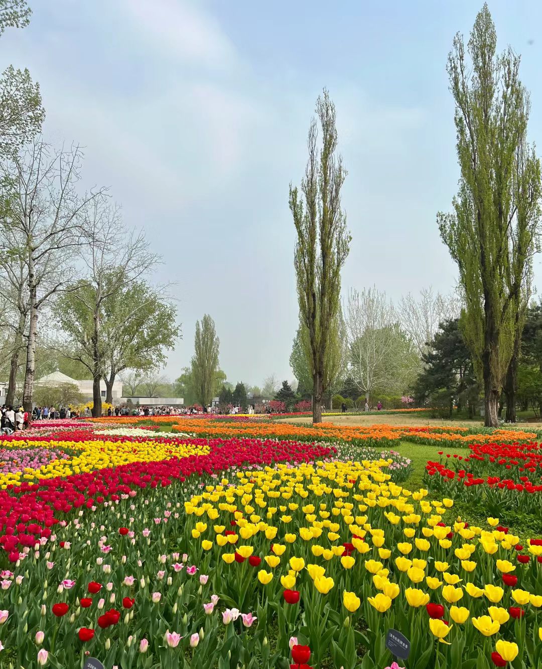 植物园旅行图片 2