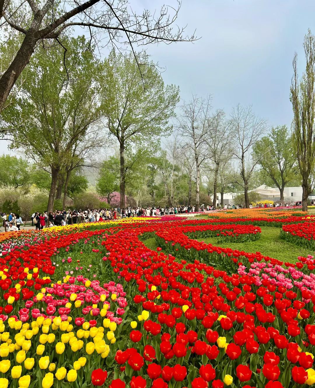 植物园旅行图片 1