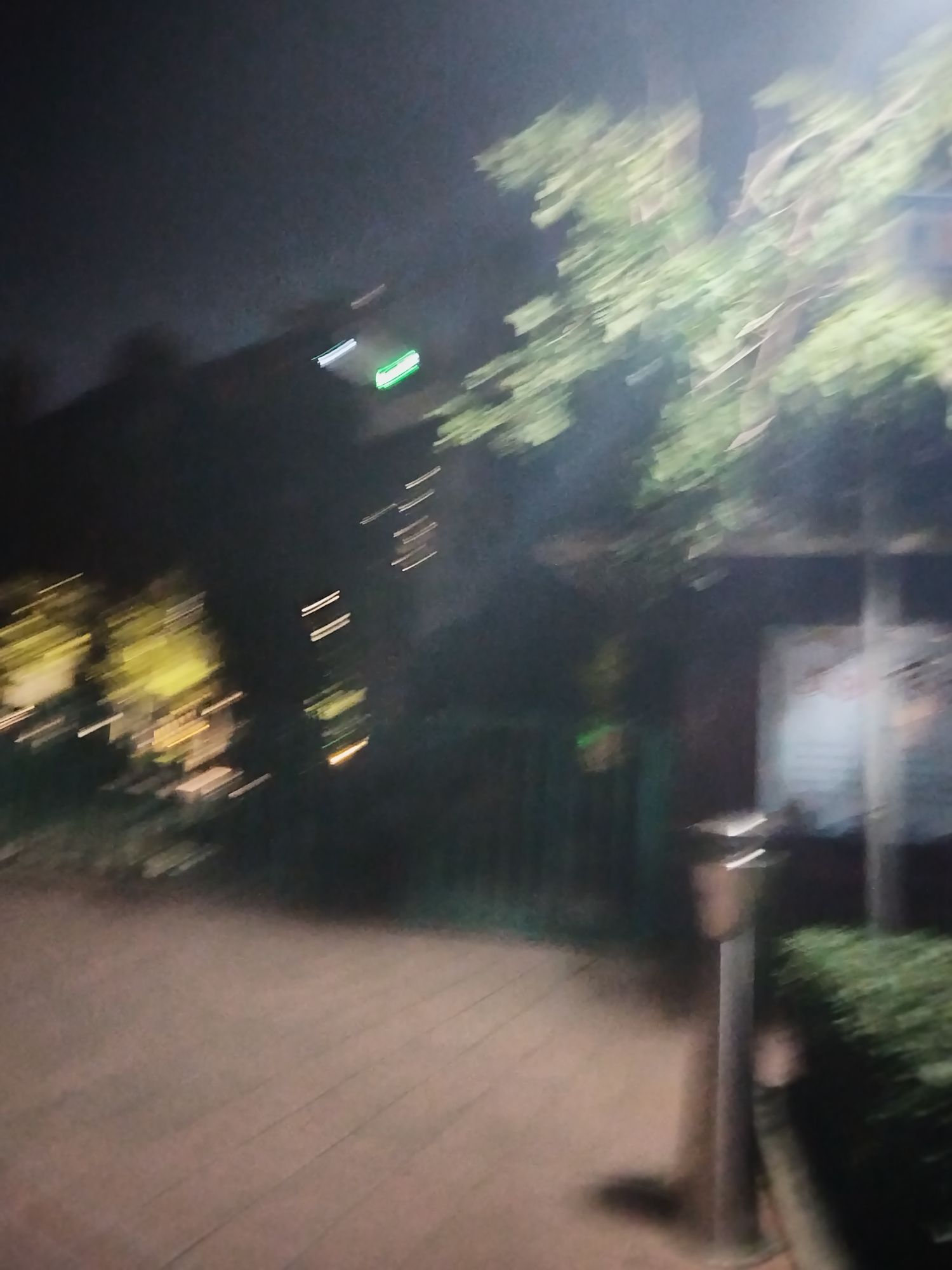 植物园旅行图片 2