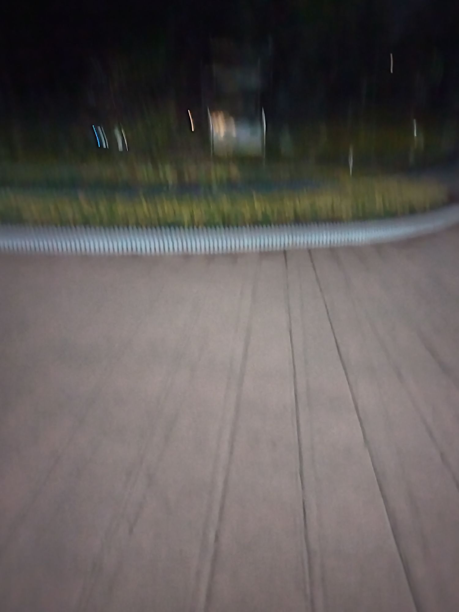 植物园旅行图片 1