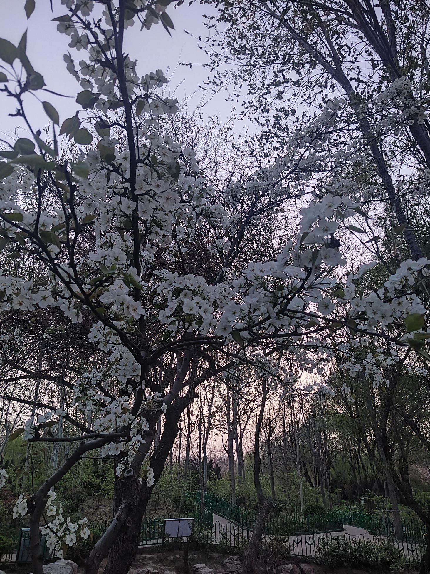 植物园旅行图片 2
