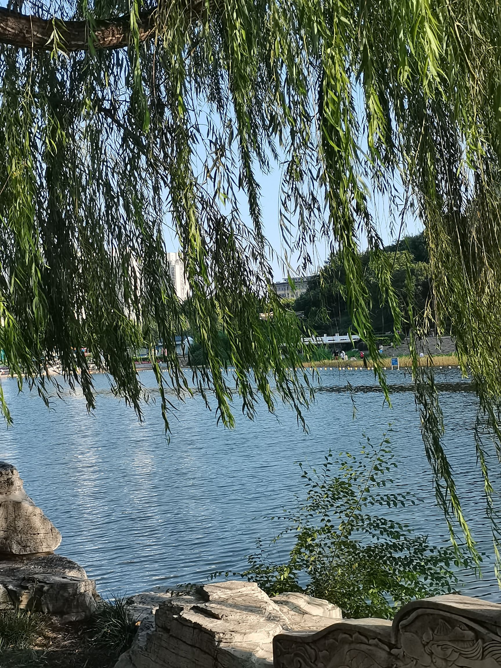 琵琶湾公园旅行图片 2
