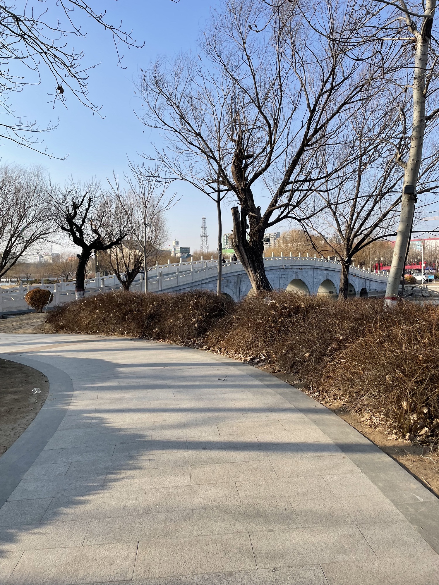 琵琶湾公园旅行图片 1