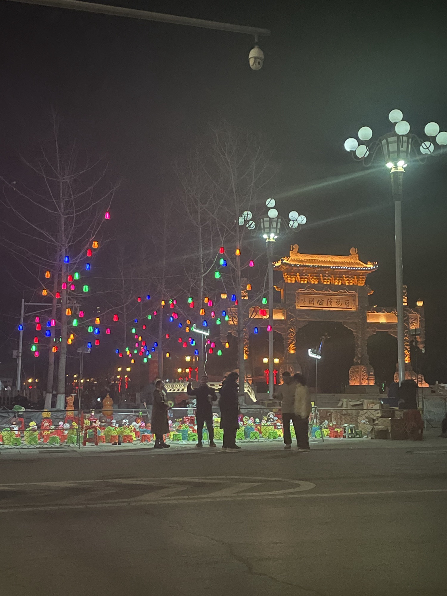 琵琶湾公园旅行图片 3
